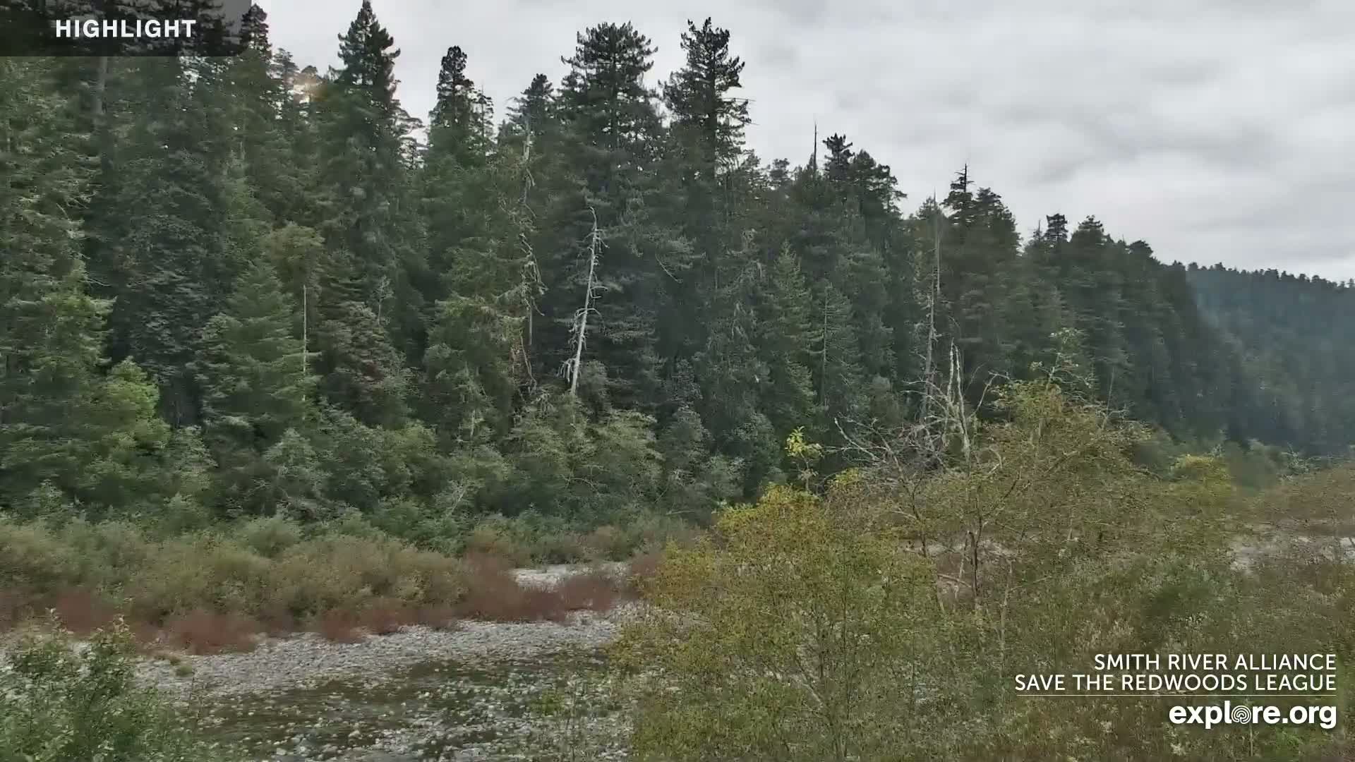 Crescent City, Jedediah Smith Redwoods State Park & Smith River Live Cam - Crescent City, Del Norte, California, USA