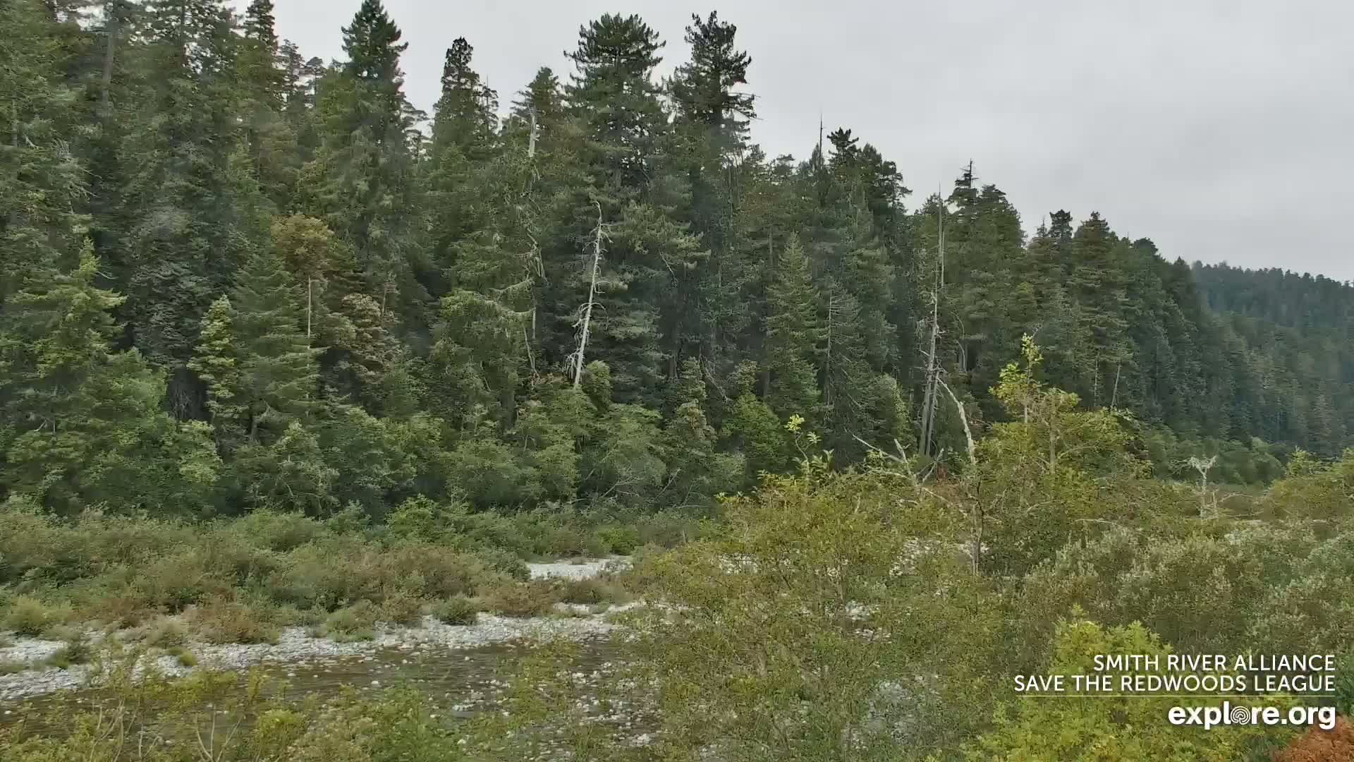 Crescent City, Jedediah Smith Redwoods State Park & Smith River Live Cam - Crescent City, Del Norte, California, USA