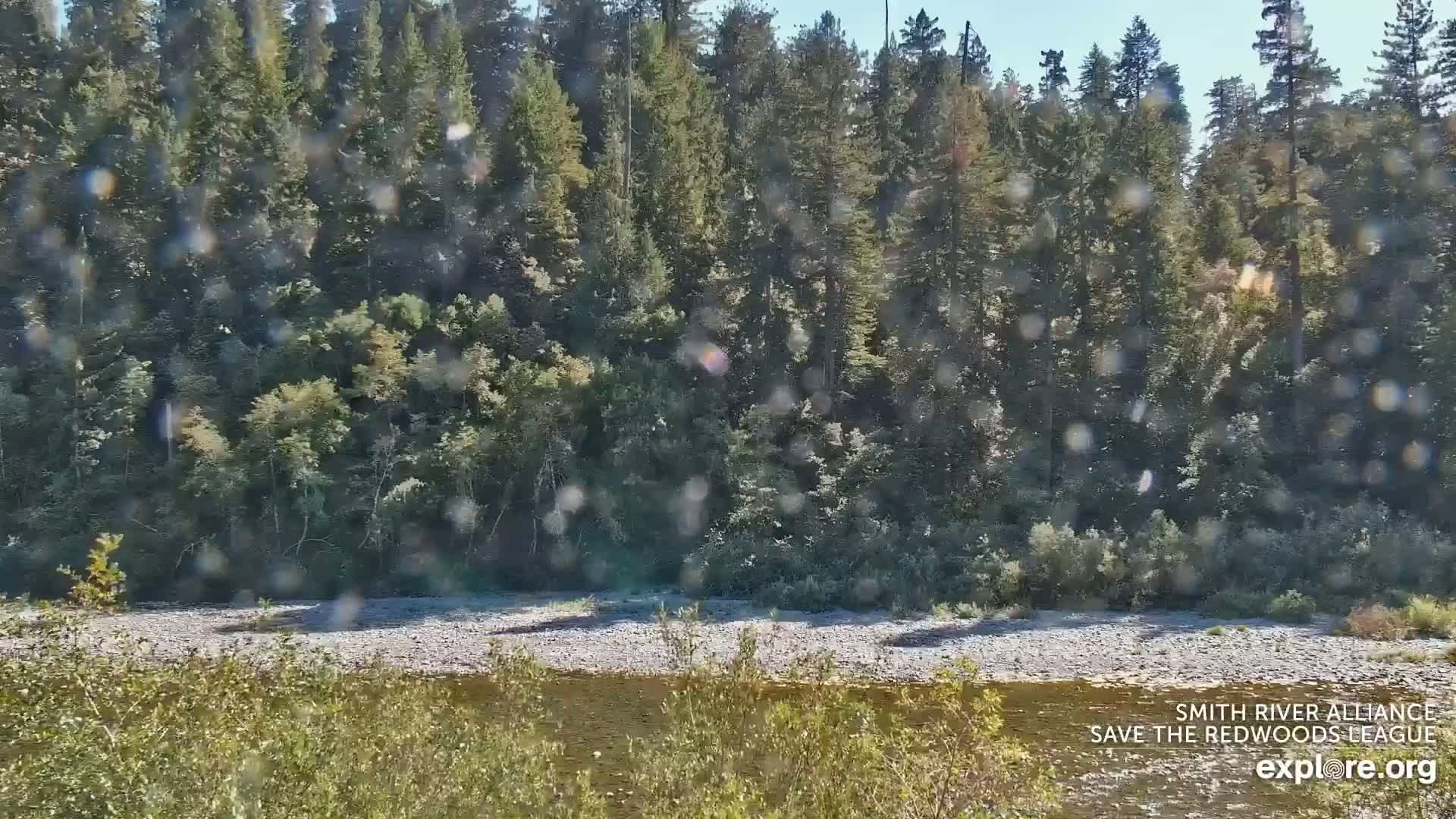 Crescent City, Jedediah Smith Redwoods State Park & Smith River Live Cam - Crescent City, Del Norte, California, USA