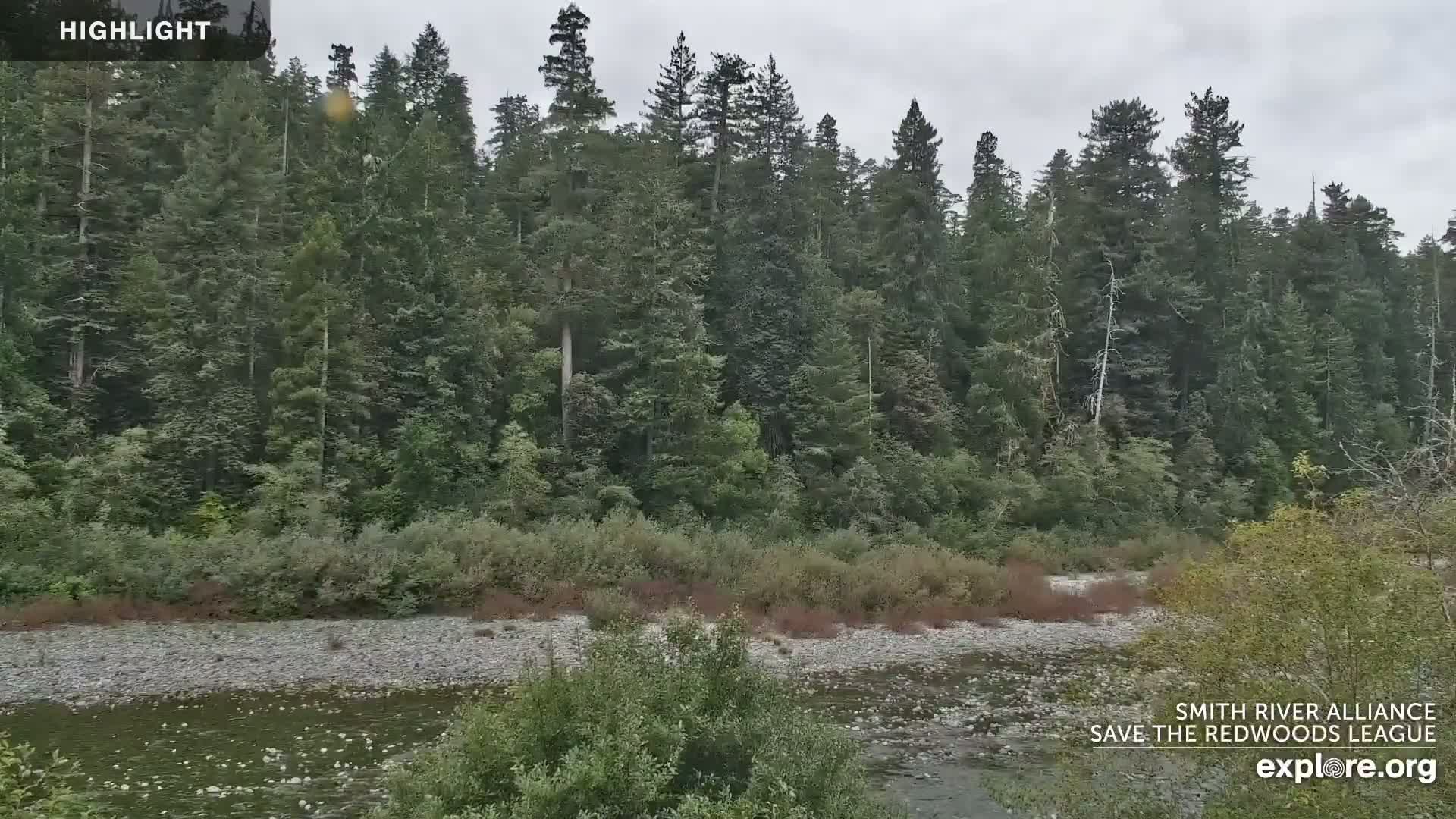 Crescent City, Jedediah Smith Redwoods State Park & Smith River Live Cam - Crescent City, Del Norte, California, USA