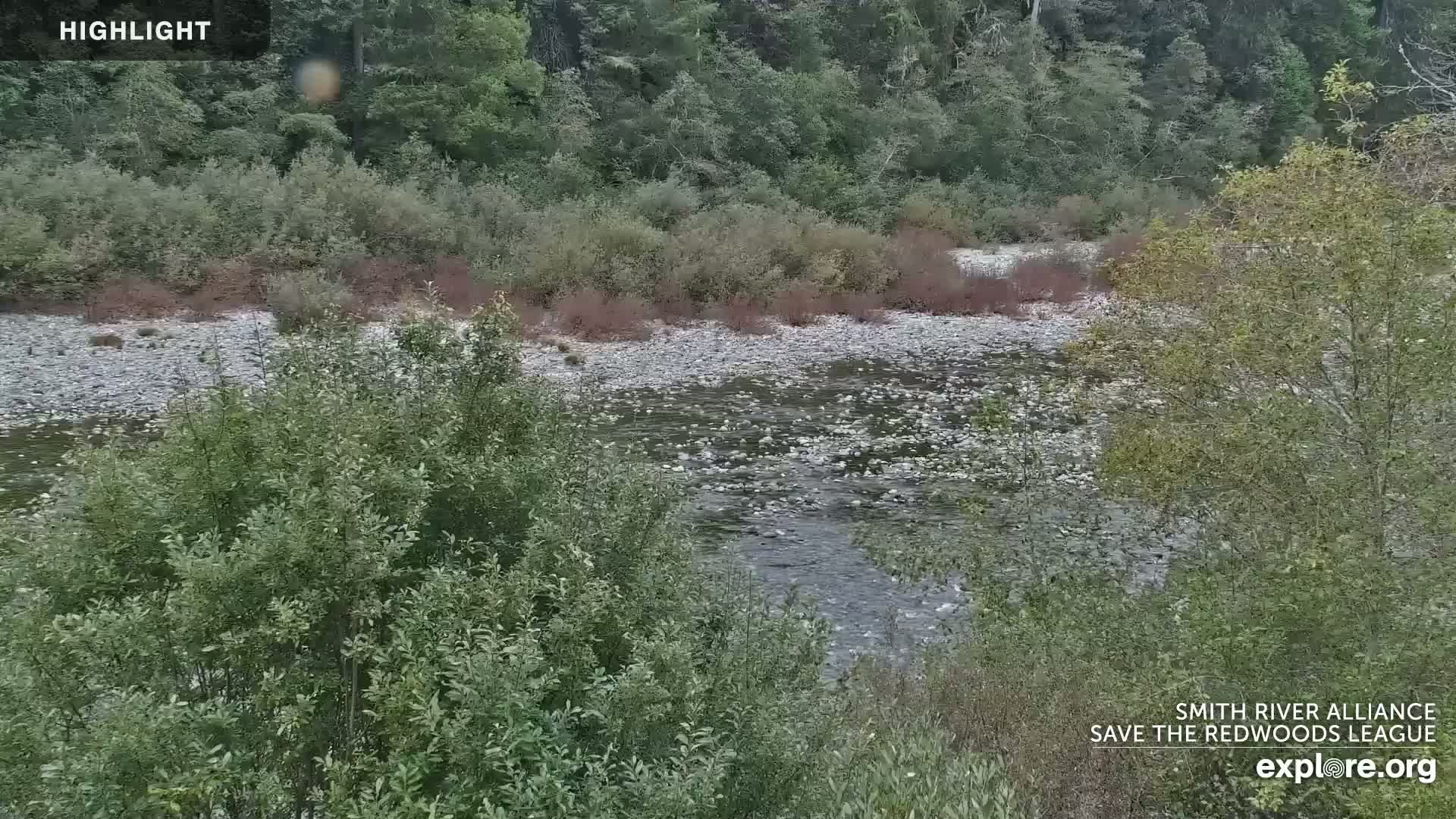 Crescent City, Jedediah Smith Redwoods State Park & Smith River Live Cam - Crescent City, Del Norte, California, USA