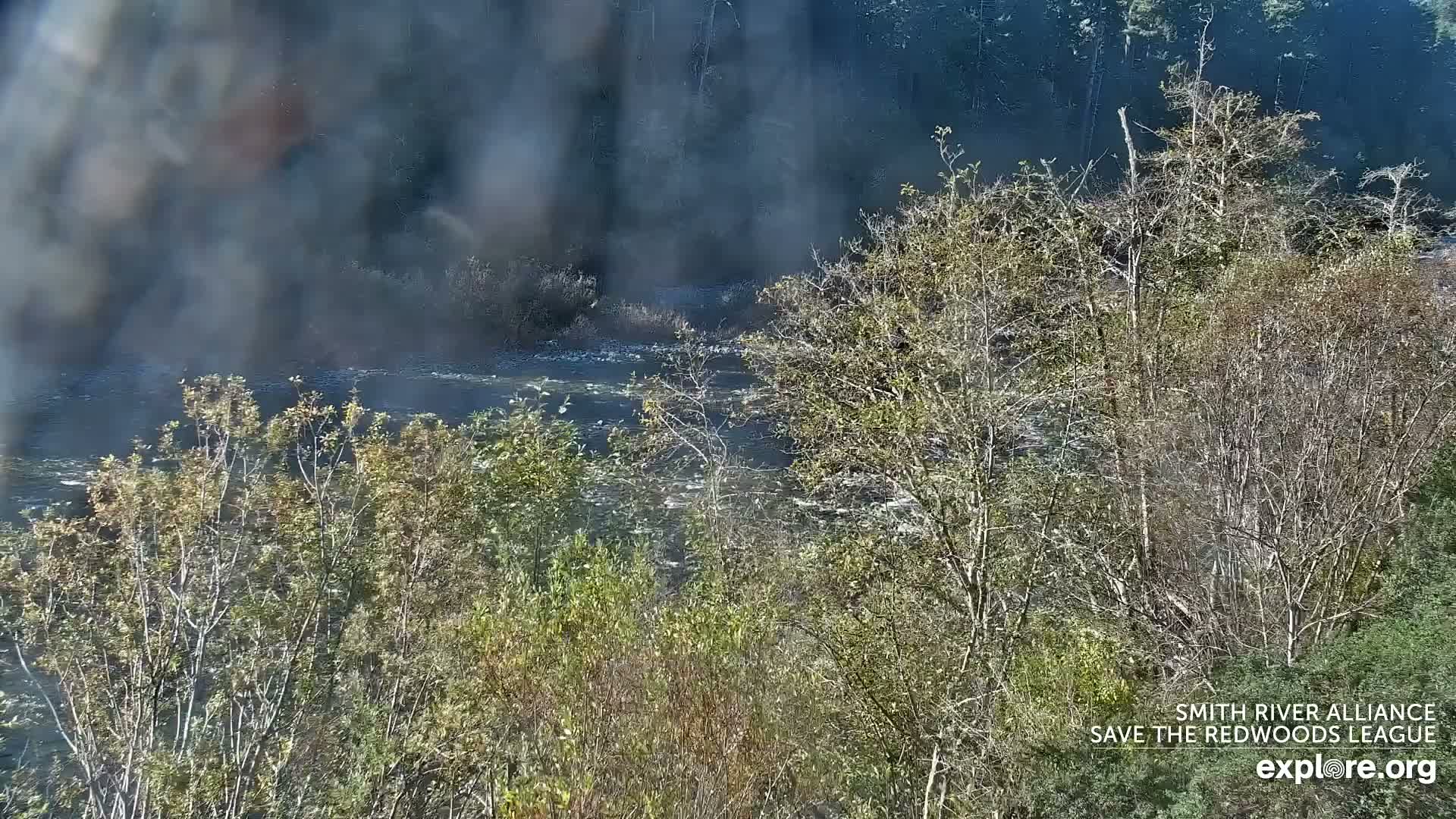 Crescent City, Jedediah Smith Redwoods State Park & Smith River Live Cam - Crescent City, Del Norte, California, USA