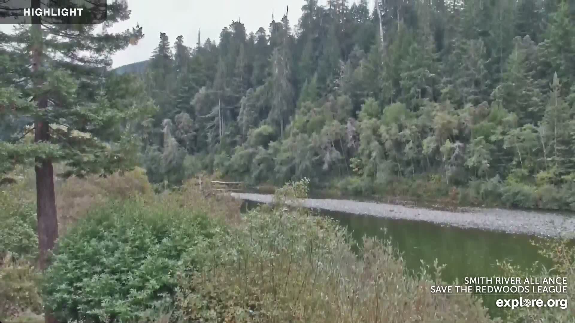 Crescent City, Jedediah Smith Redwoods State Park & Smith River Live Cam - Crescent City, Del Norte, California, USA