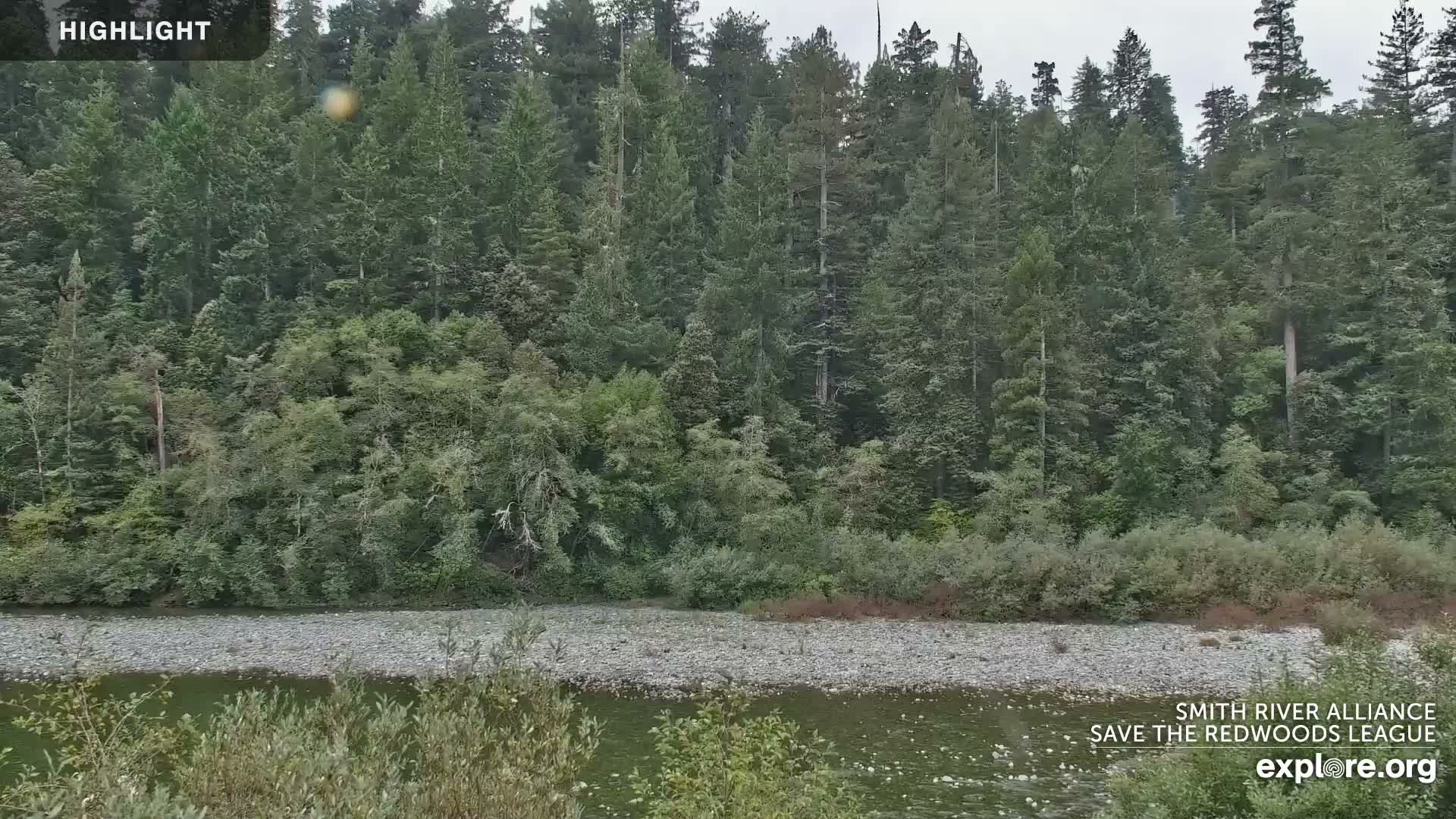 Crescent City, Jedediah Smith Redwoods State Park & Smith River Live Cam - Crescent City, Del Norte, California, USA