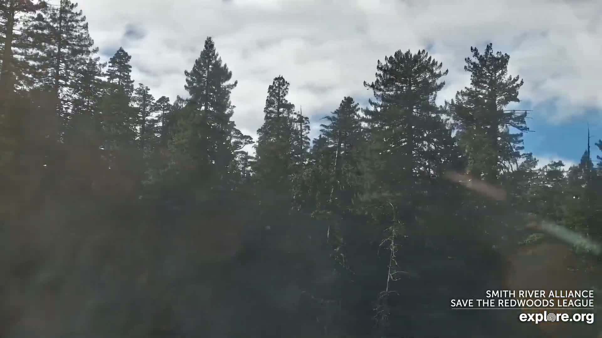 Crescent City, Jedediah Smith Redwoods State Park & Smith River Live Cam - Crescent City, Del Norte, California, USA