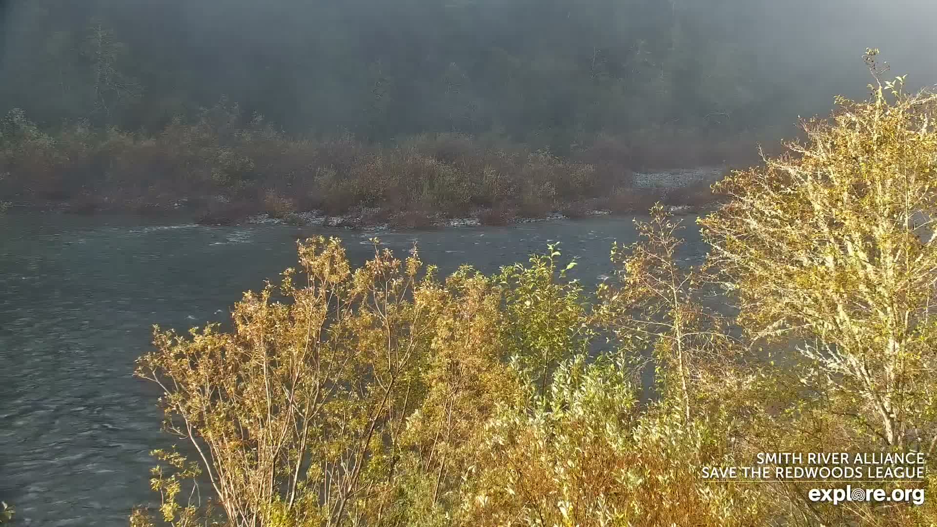 Crescent City, Jedediah Smith Redwoods State Park & Smith River Live Cam - Crescent City, Del Norte, California, USA