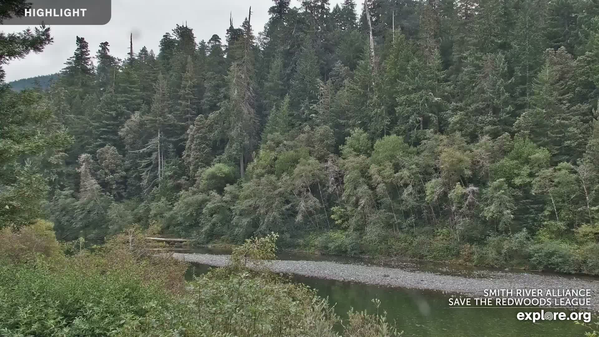 A calm, green river flows through a rocky riverbed, bordered by lush green vegetation.