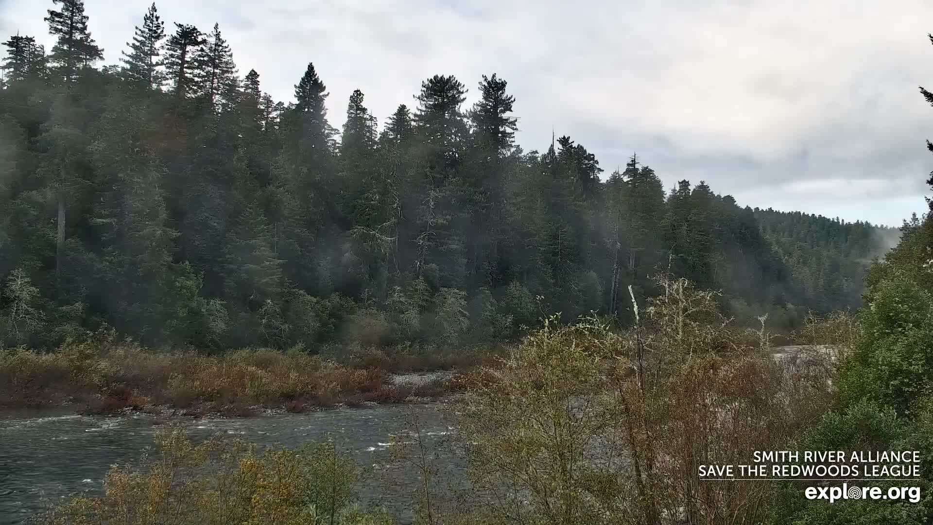 Crescent City, Jedediah Smith Redwoods State Park & Smith River Live Cam - Crescent City, Del Norte, California, USA