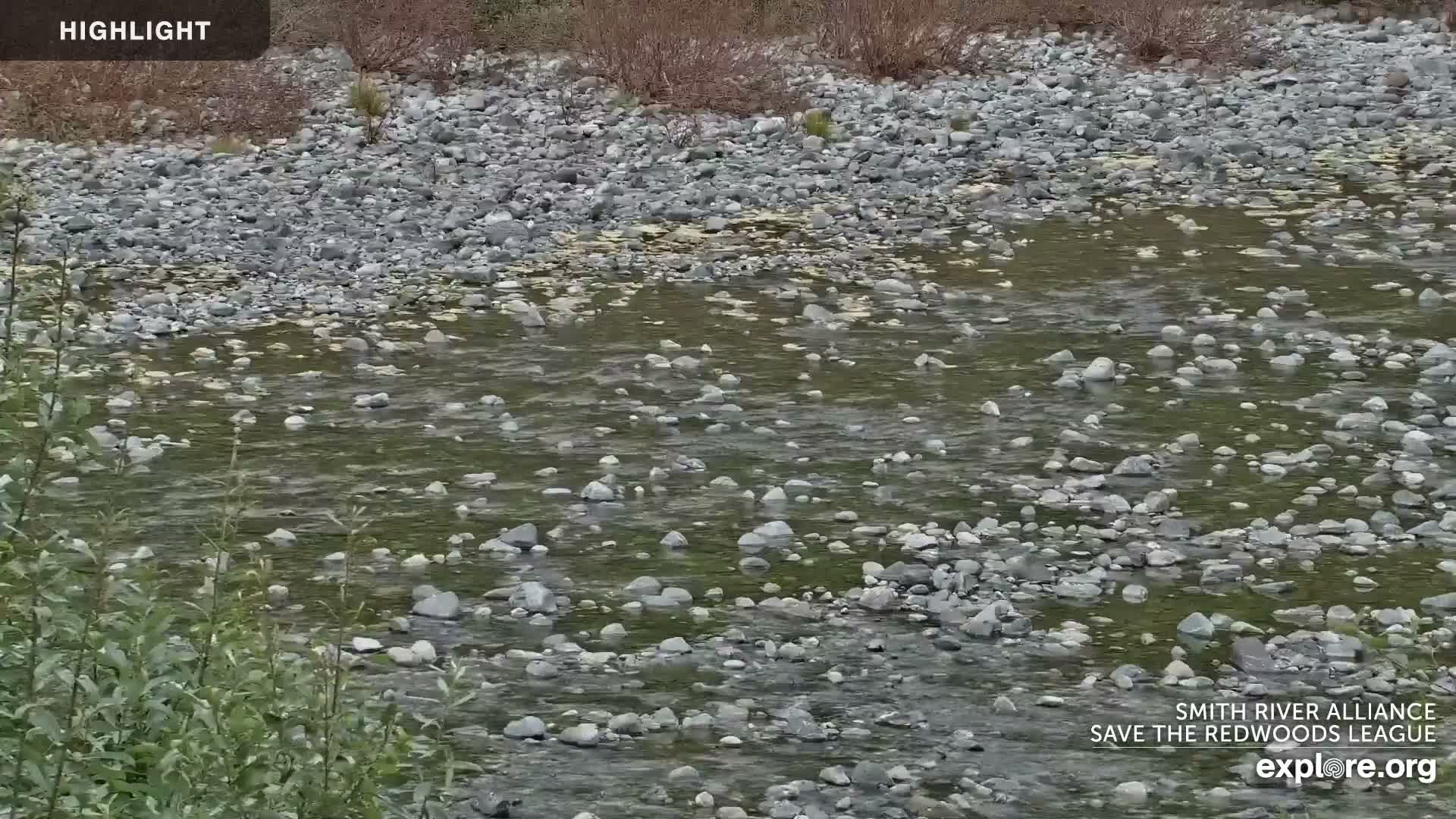 Crescent City, Jedediah Smith Redwoods State Park & Smith River Live Cam - Crescent City, Del Norte, California, USA