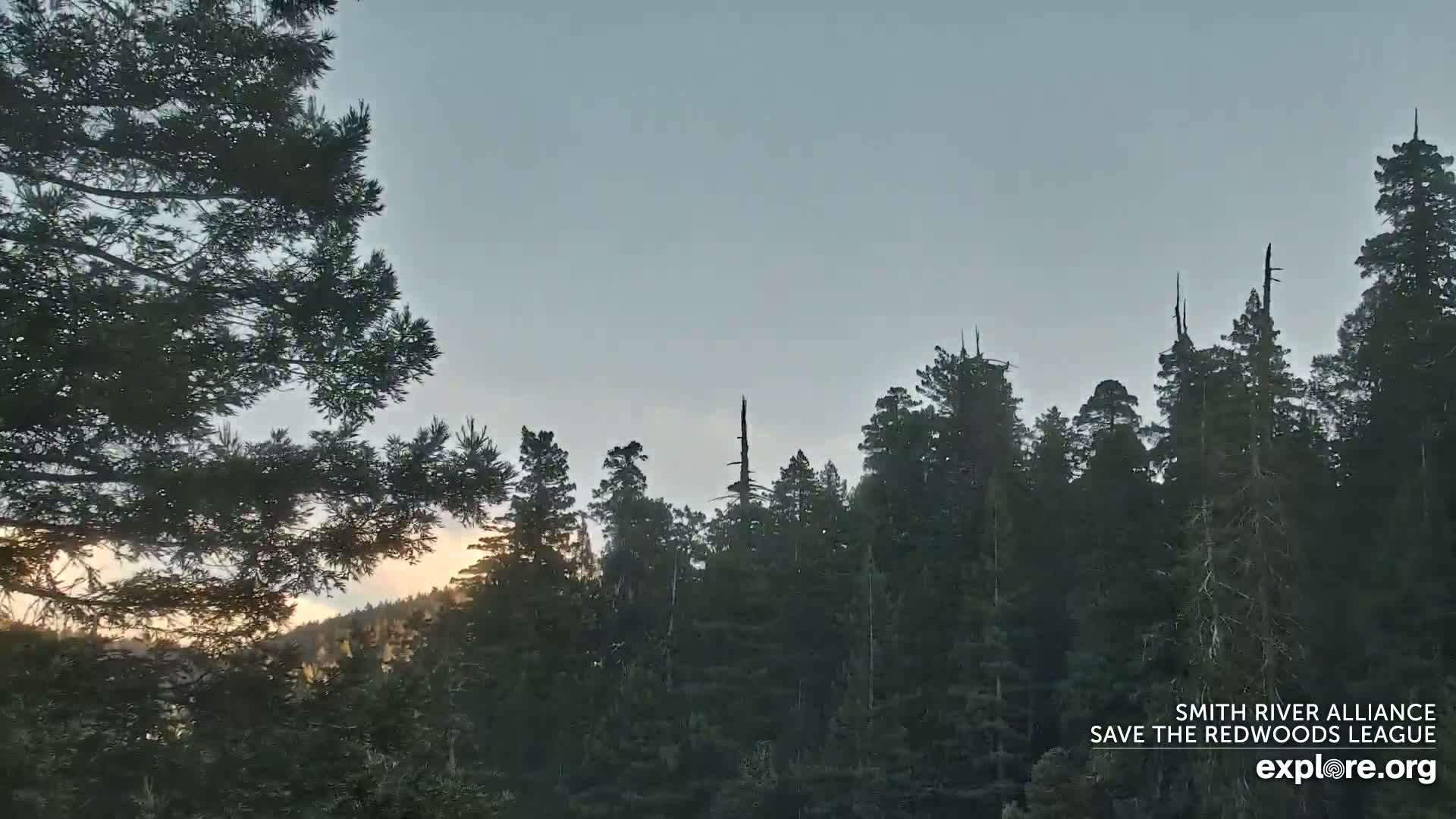 Crescent City, Jedediah Smith Redwoods State Park & Smith River Live Cam - Crescent City, Del Norte, California, USA
