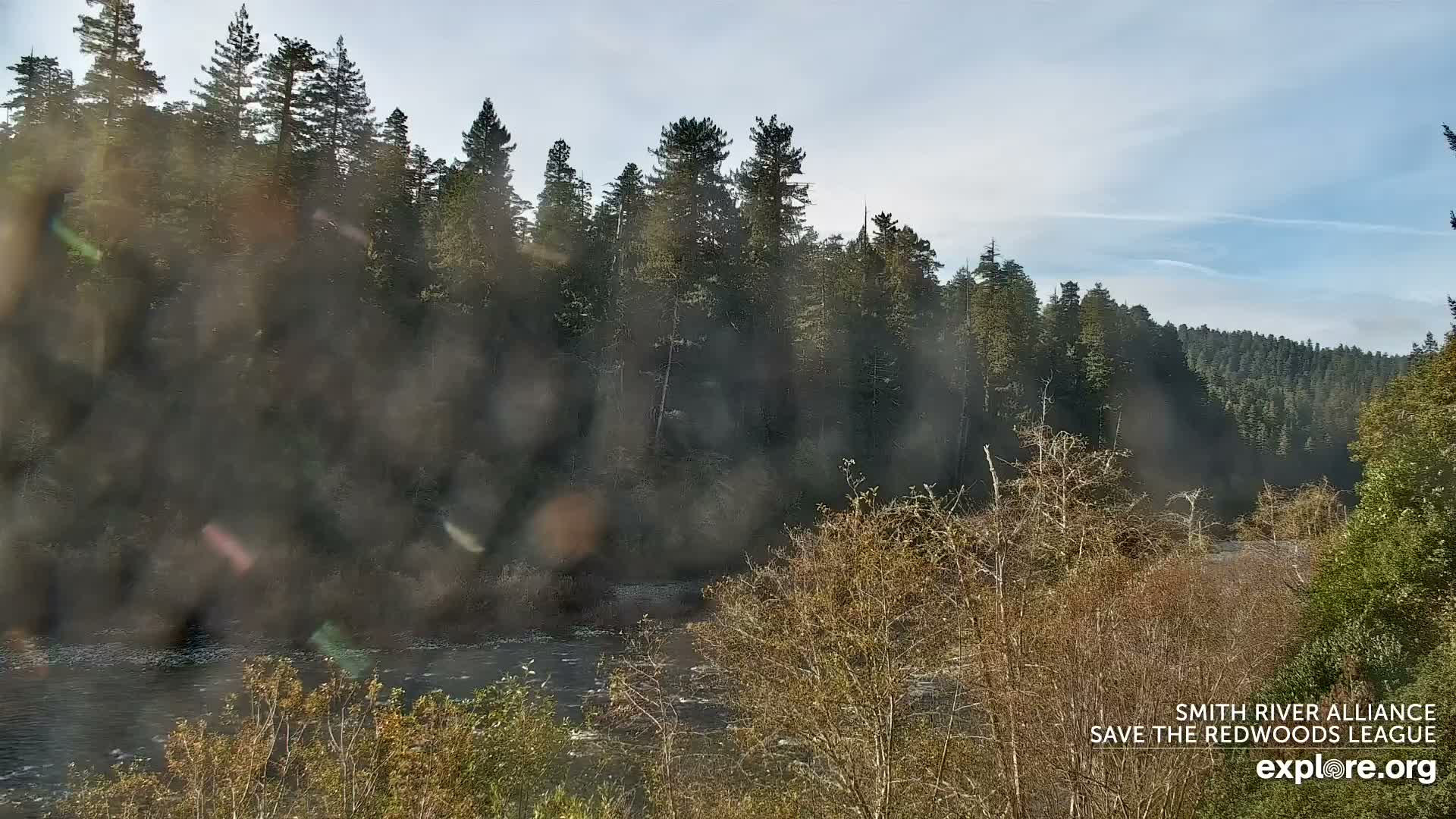 Crescent City, Jedediah Smith Redwoods State Park & Smith River Live Cam - Crescent City, Del Norte, California, USA