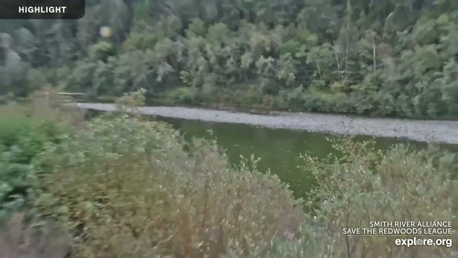 Crescent City, Jedediah Smith Redwoods State Park & Smith River Live Cam - Crescent City, Del Norte, California, USA