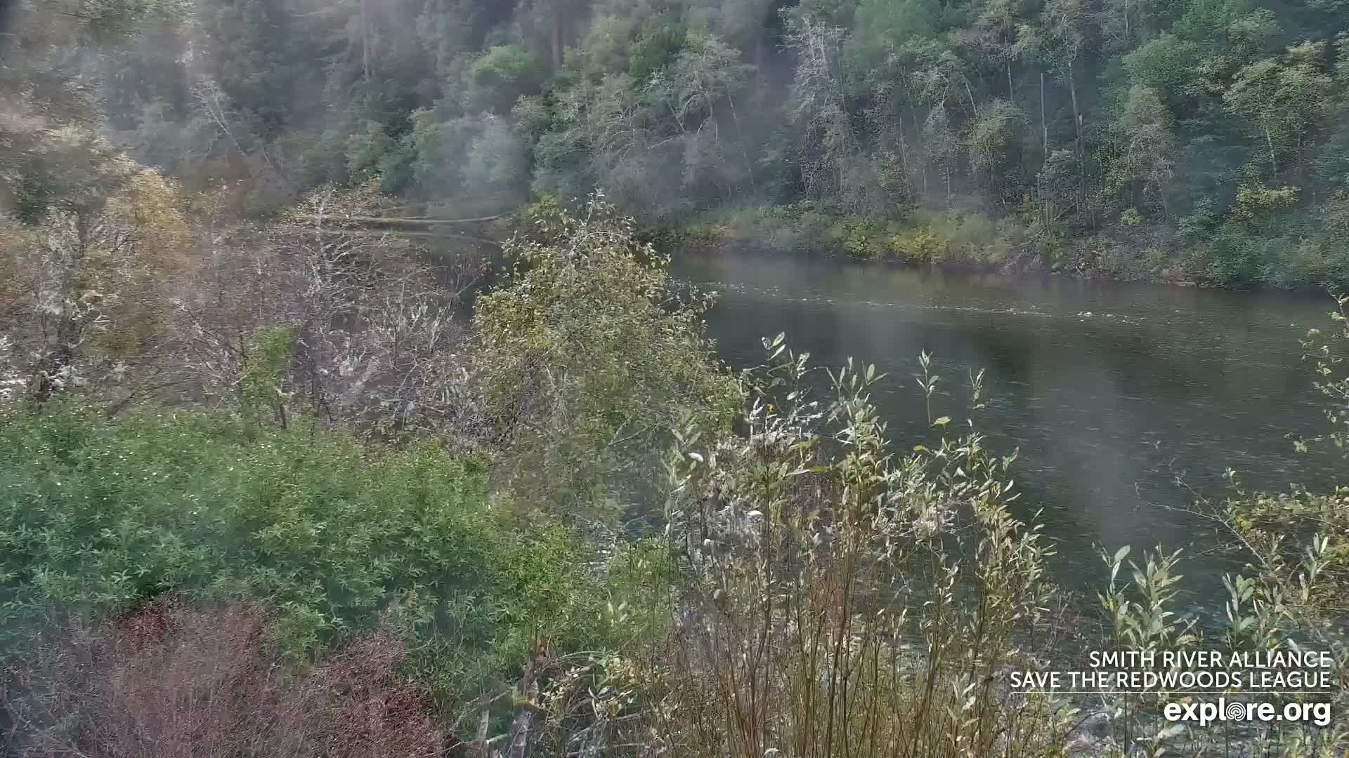 Crescent City, Jedediah Smith Redwoods State Park & Smith River Live Cam - Crescent City, Del Norte, California, USA