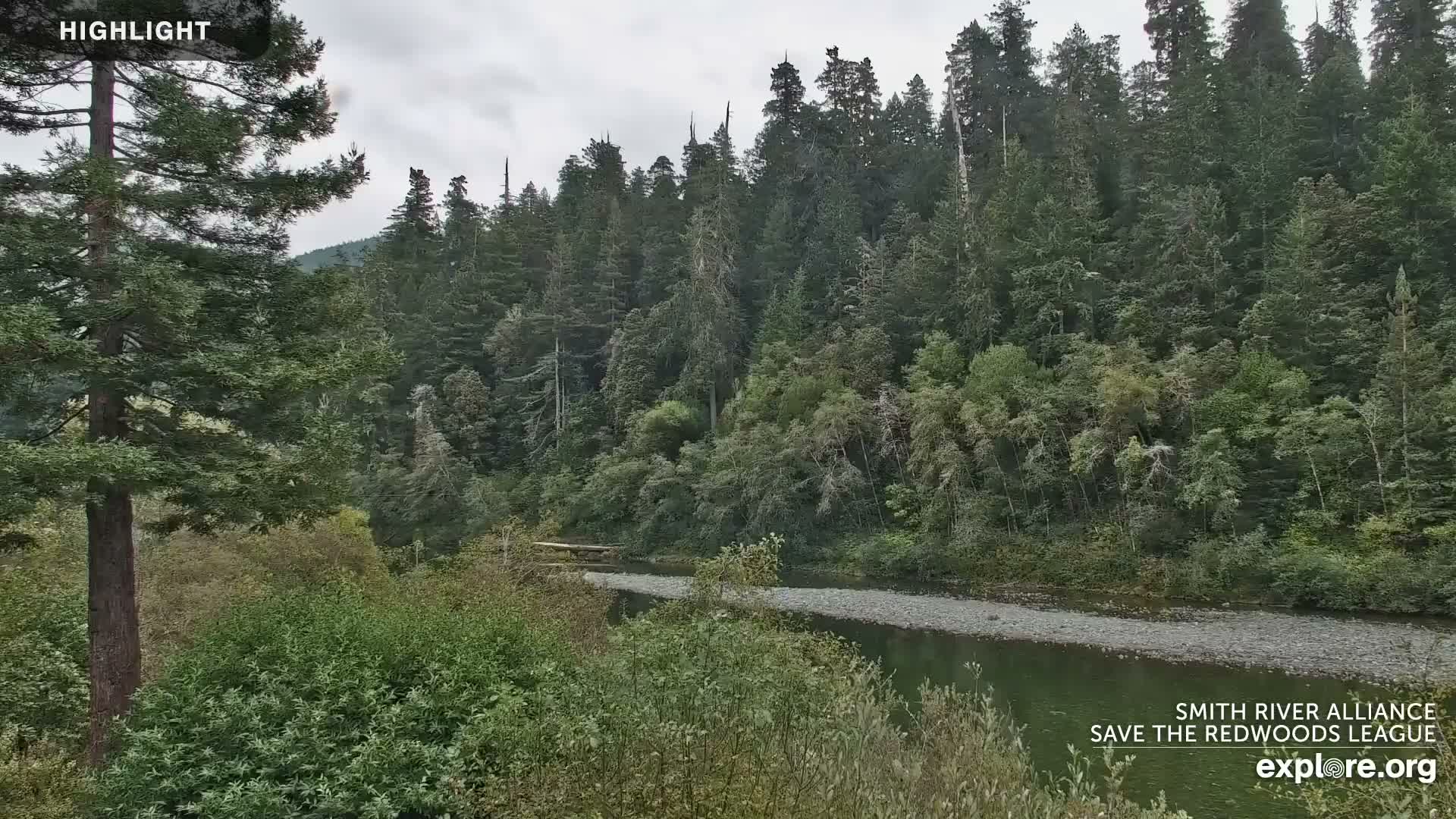 Crescent City, Jedediah Smith Redwoods State Park & Smith River Live Cam - Crescent City, Del Norte, California, USA