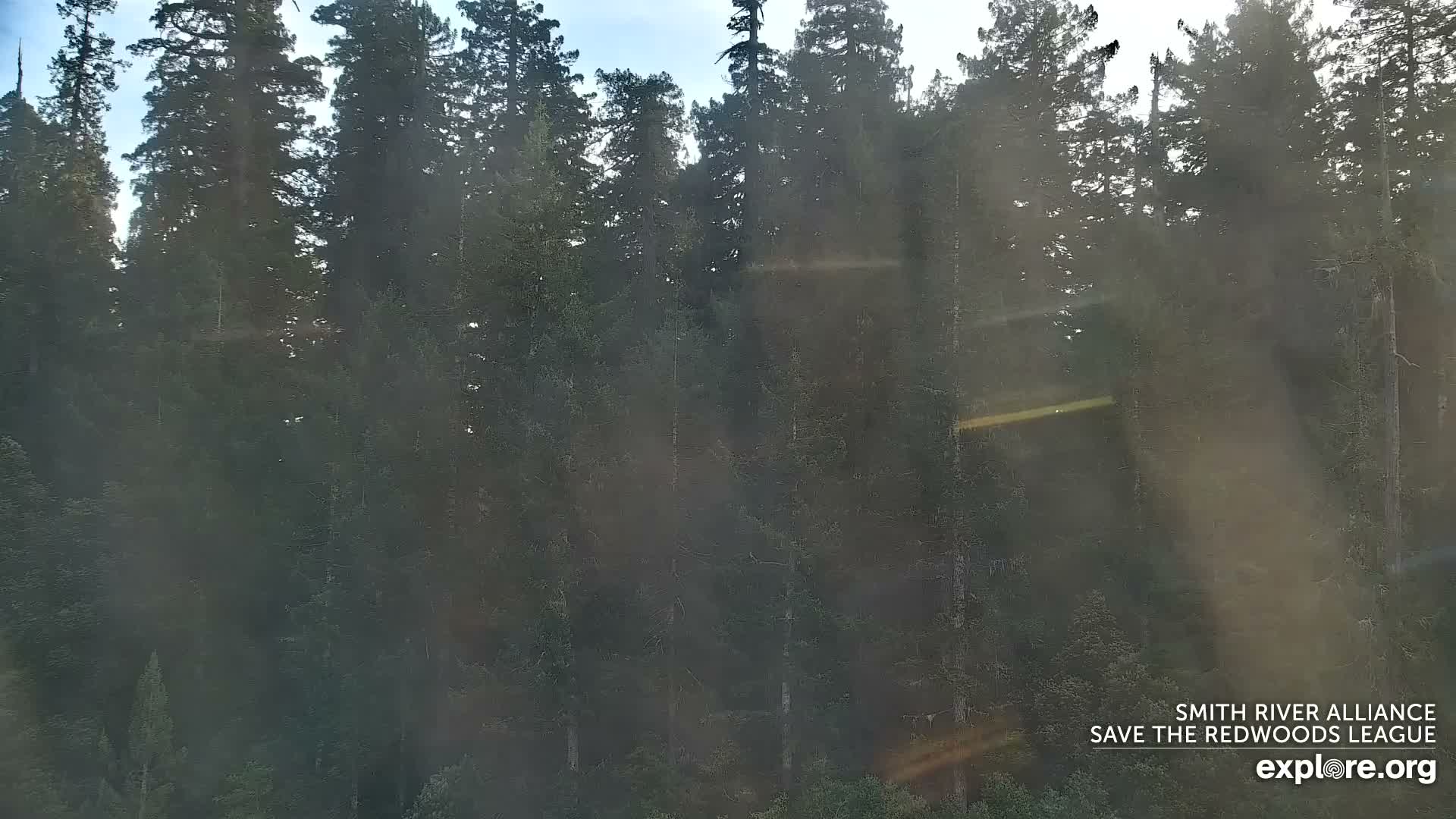 Crescent City, Jedediah Smith Redwoods State Park & Smith River Live Cam - Crescent City, Del Norte, California, USA