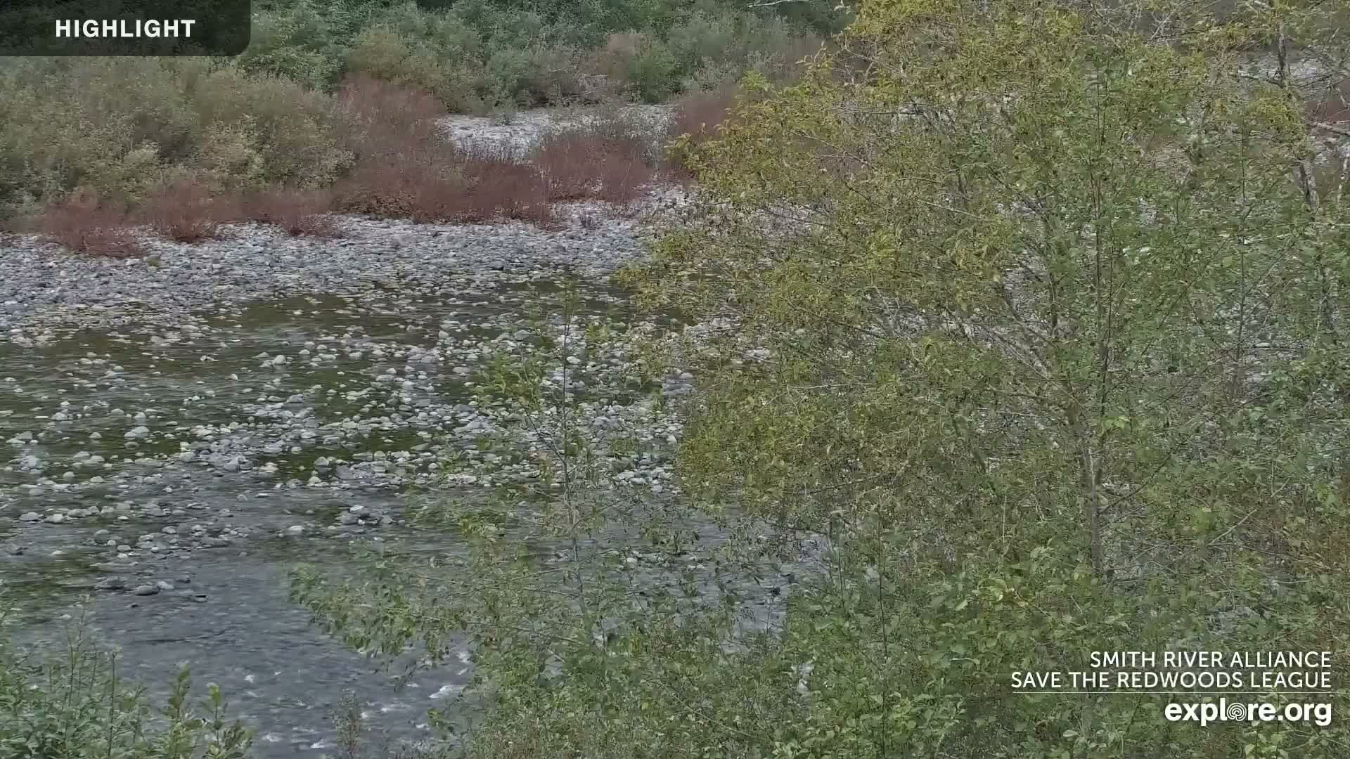 A tranquil river with a rocky bed flows between banks covered in dense green and reddish-brown vegetation under an overcast sky.