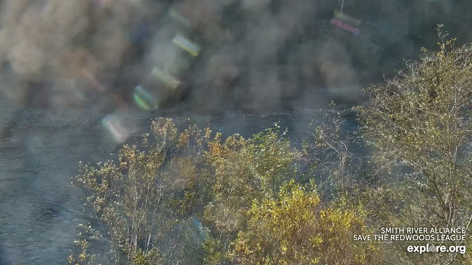 A hazy outdoor scene reveals a dark body of water partially framed by dense, mixed green and autumnal foliage in the foreground, with the distant background obscured by diffuse light and prominent lens flare.