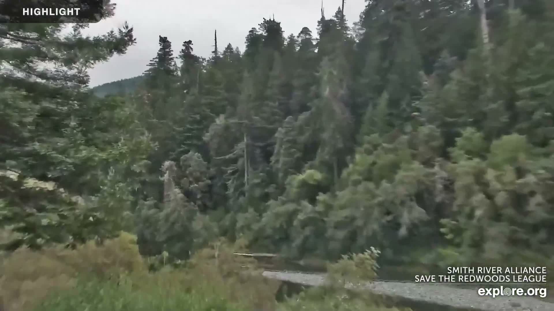 Crescent City, Jedediah Smith Redwoods State Park & Smith River Live Cam - Crescent City, Del Norte, California, USA