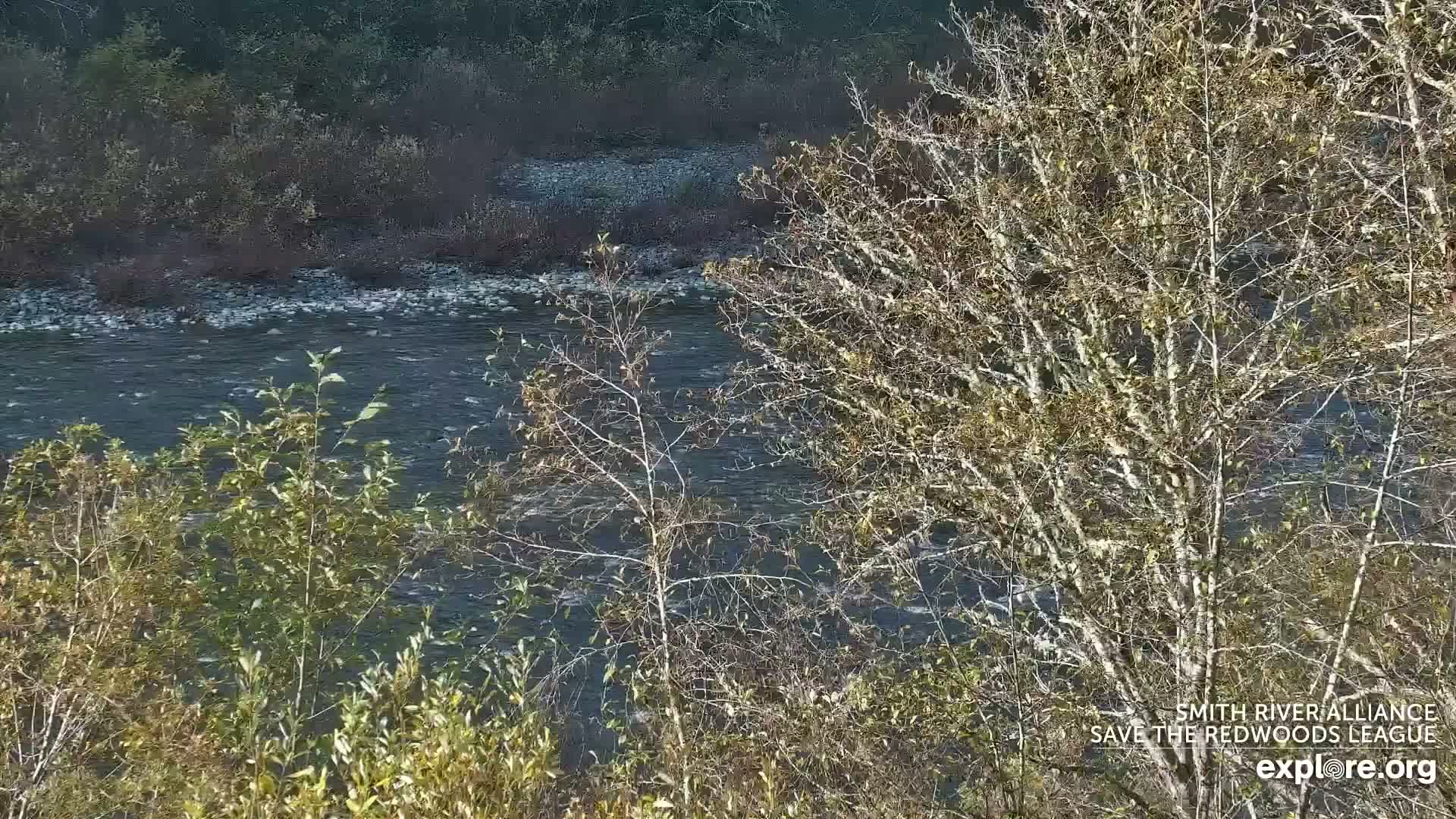 Crescent City, Jedediah Smith Redwoods State Park & Smith River Live Cam - Crescent City, Del Norte, California, USA