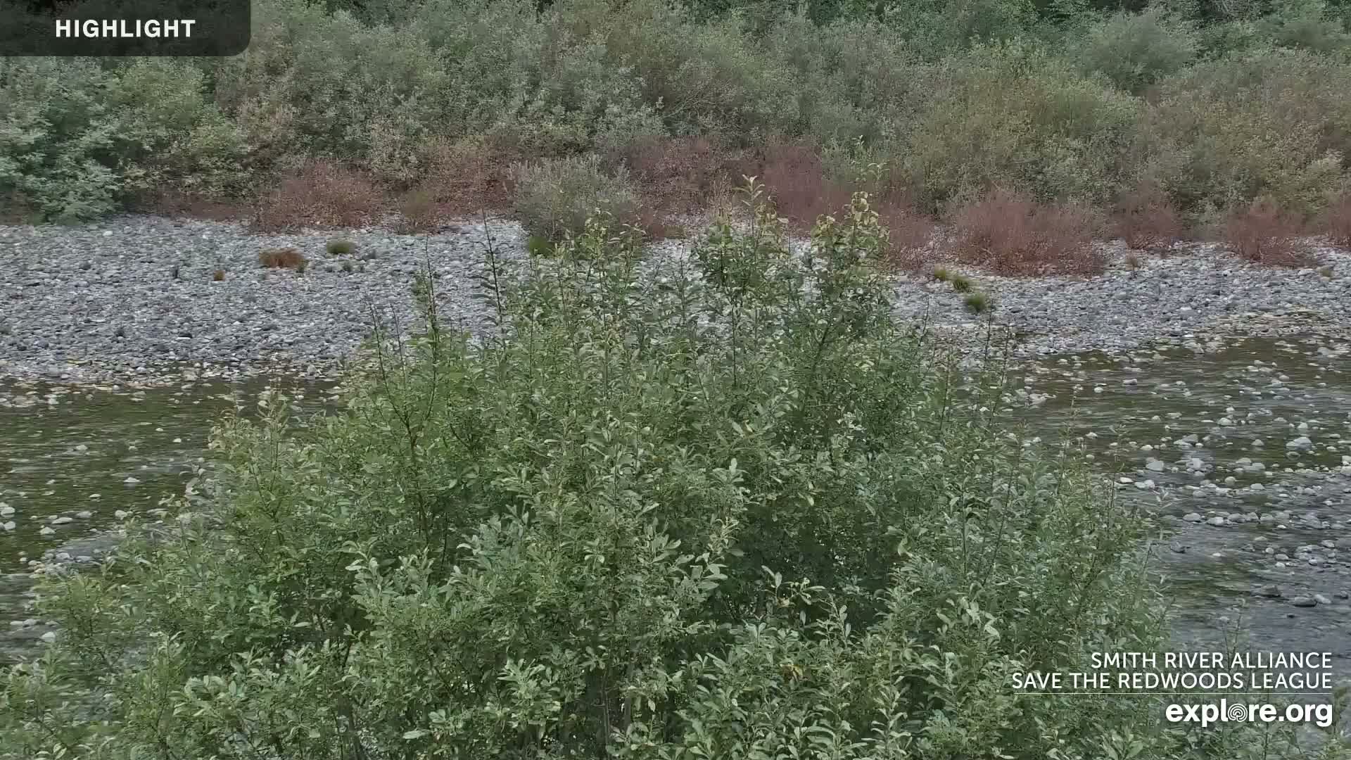 Crescent City, Jedediah Smith Redwoods State Park & Smith River Live Cam - Crescent City, Del Norte, California, USA