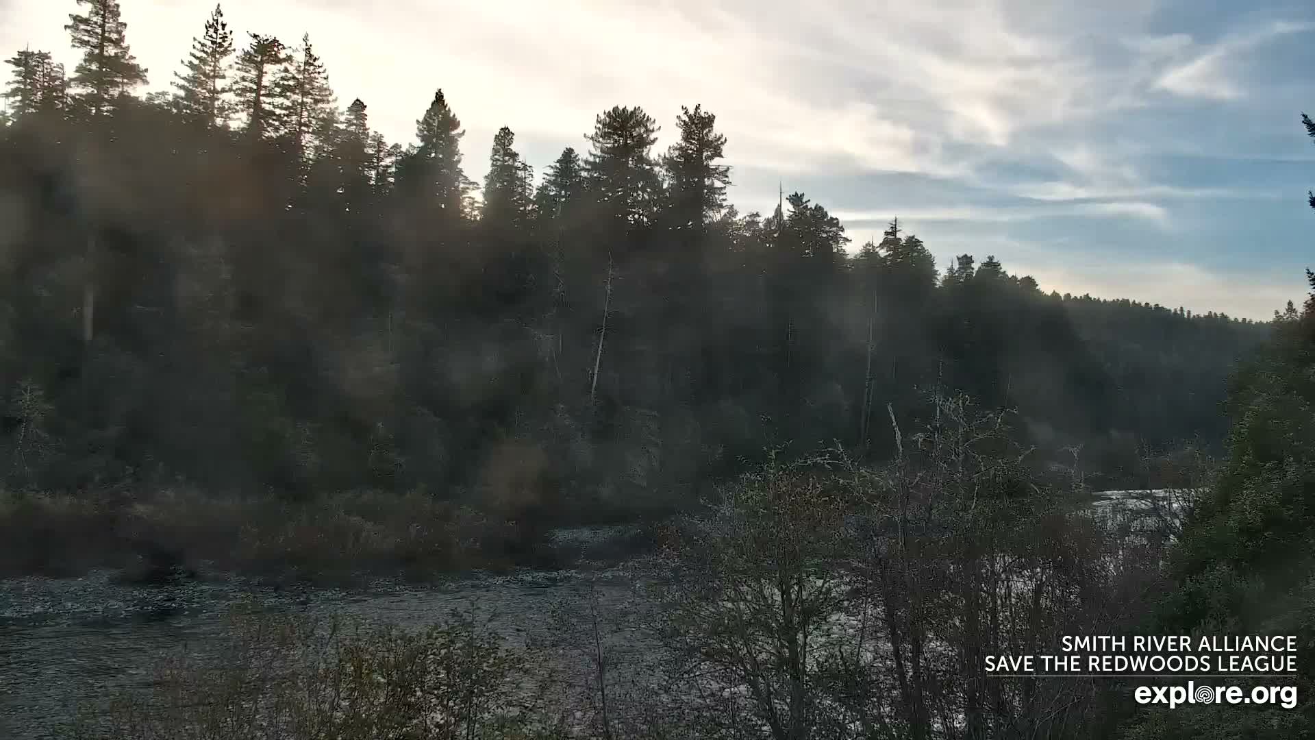 Crescent City, Jedediah Smith Redwoods State Park & Smith River Live Cam - Crescent City, Del Norte, California, USA