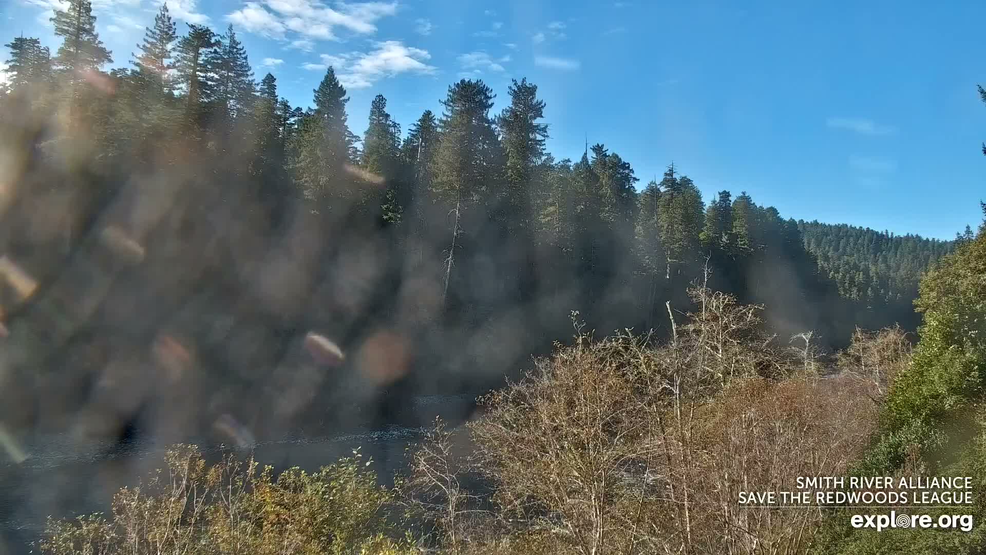 Crescent City, Jedediah Smith Redwoods State Park & Smith River Live Cam - Crescent City, Del Norte, California, USA