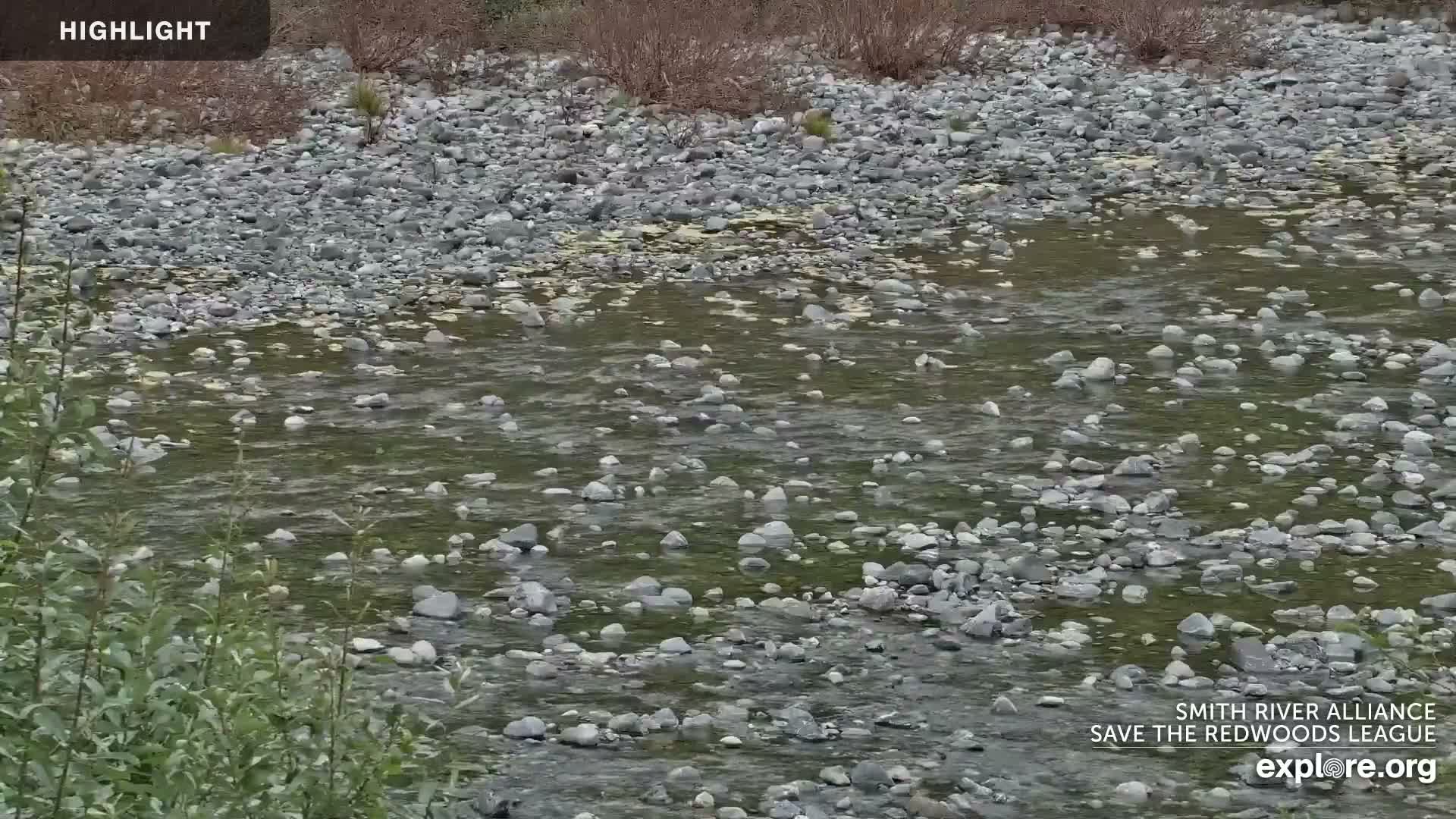 Crescent City, Jedediah Smith Redwoods State Park & Smith River Live Cam - Crescent City, Del Norte, California, USA