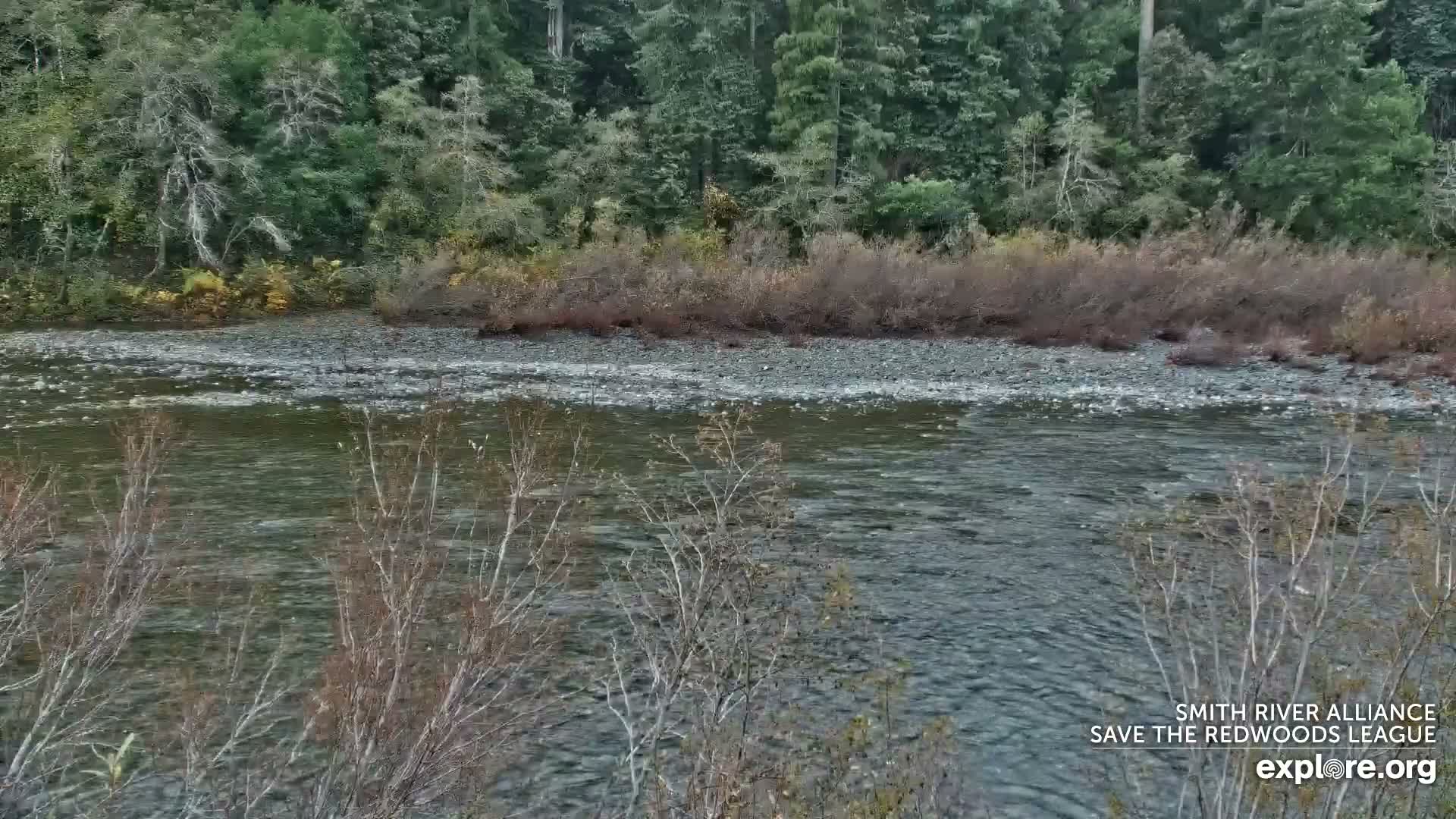 Crescent City, Jedediah Smith Redwoods State Park & Smith River Live Cam - Crescent City, Del Norte, California, USA