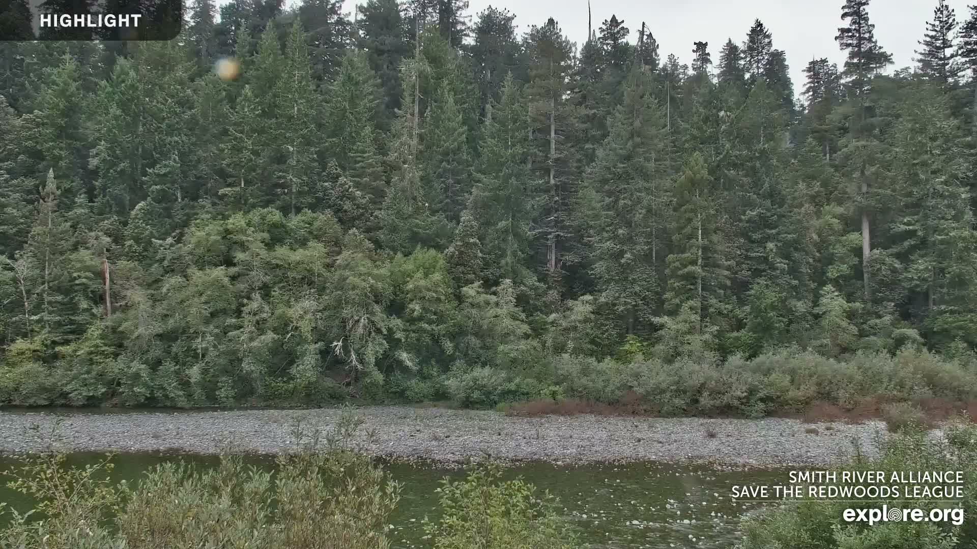 Crescent City, Jedediah Smith Redwoods State Park & Smith River Live Cam - Crescent City, Del Norte, California, USA