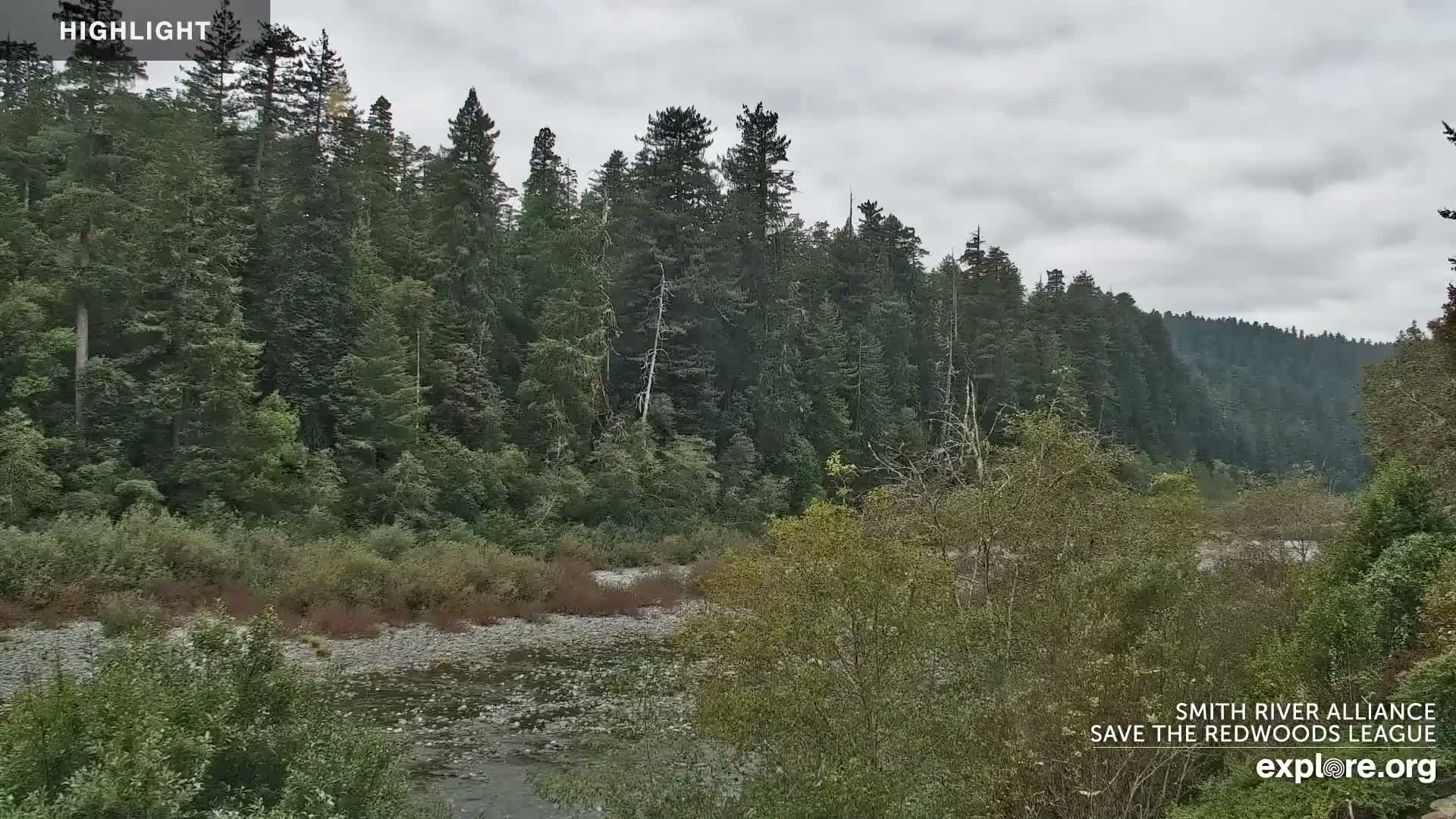 Crescent City, Jedediah Smith Redwoods State Park & Smith River Live Cam - Crescent City, Del Norte, California, USA