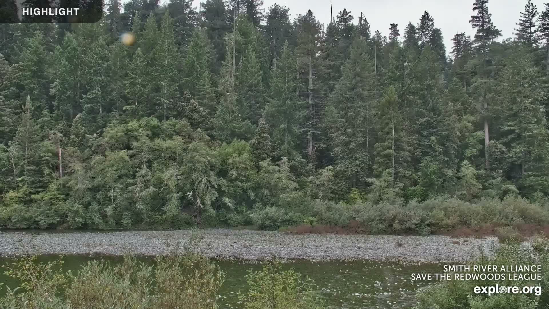 Crescent City, Jedediah Smith Redwoods State Park & Smith River Live Cam - Crescent City, Del Norte, California, USA