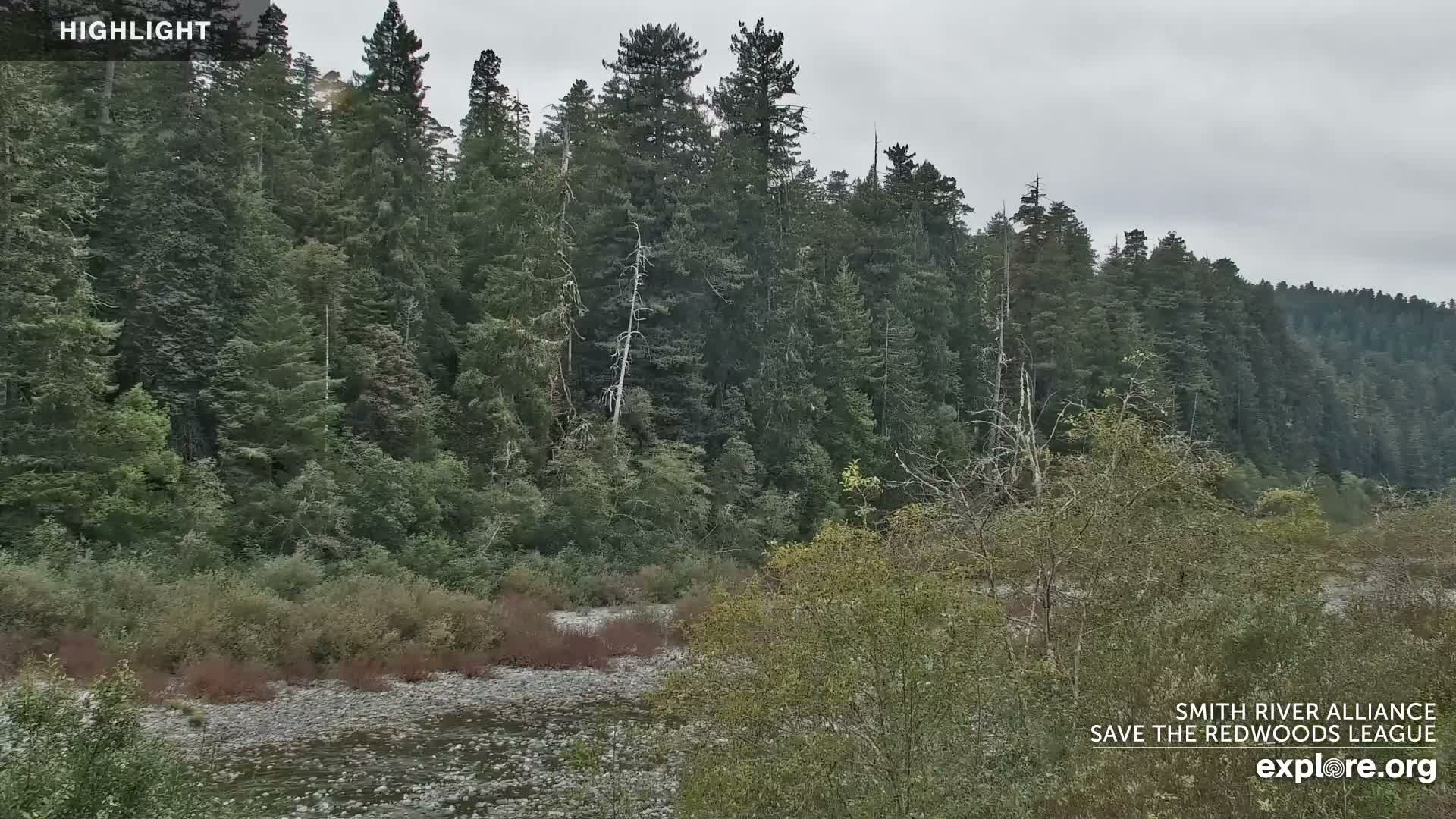 Crescent City, Jedediah Smith Redwoods State Park & Smith River Live Cam - Crescent City, Del Norte, California, USA