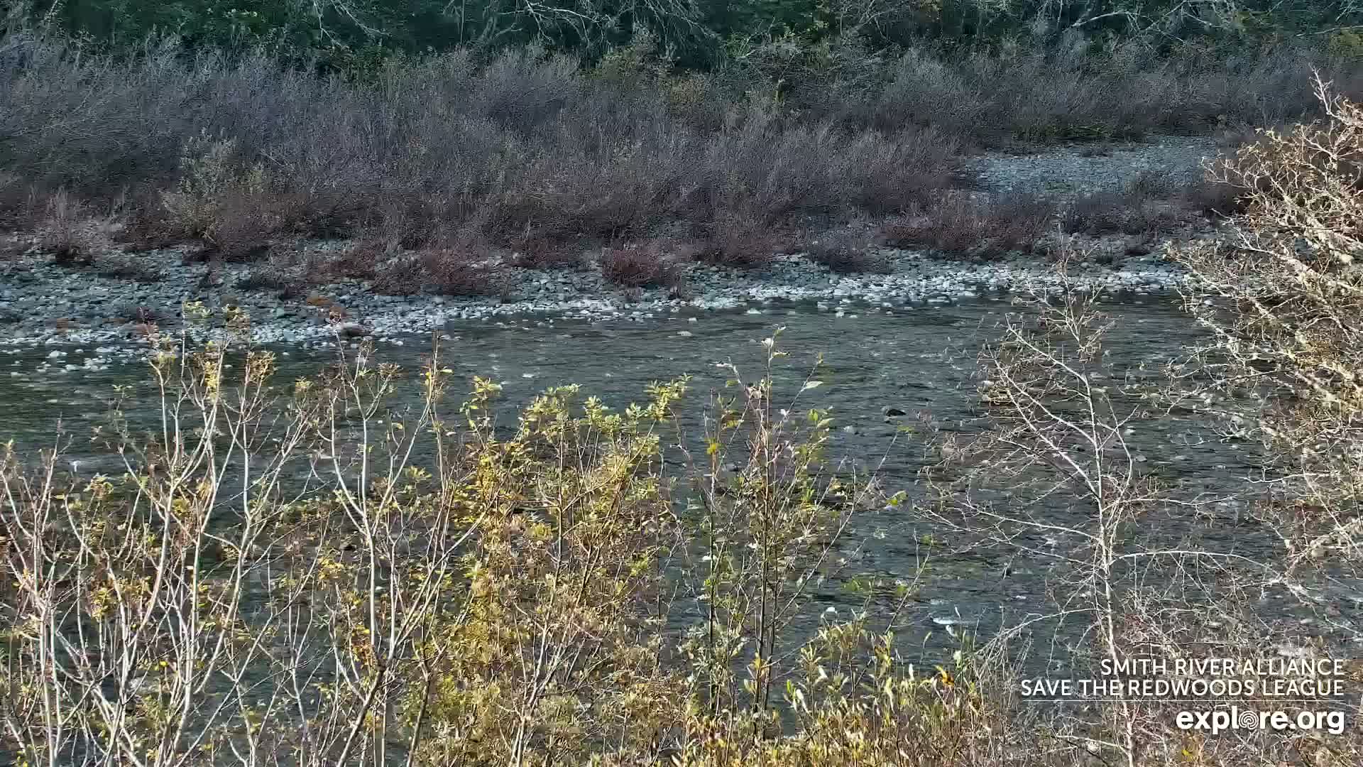 Crescent City, Jedediah Smith Redwoods State Park & Smith River Live Cam - Crescent City, Del Norte, California, USA