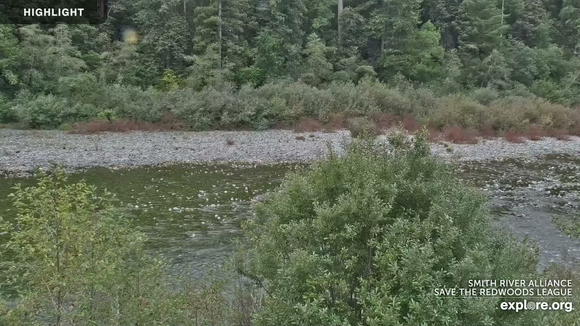 Crescent City, Jedediah Smith Redwoods State Park & Smith River Live Cam - Crescent City, Del Norte, California, USA