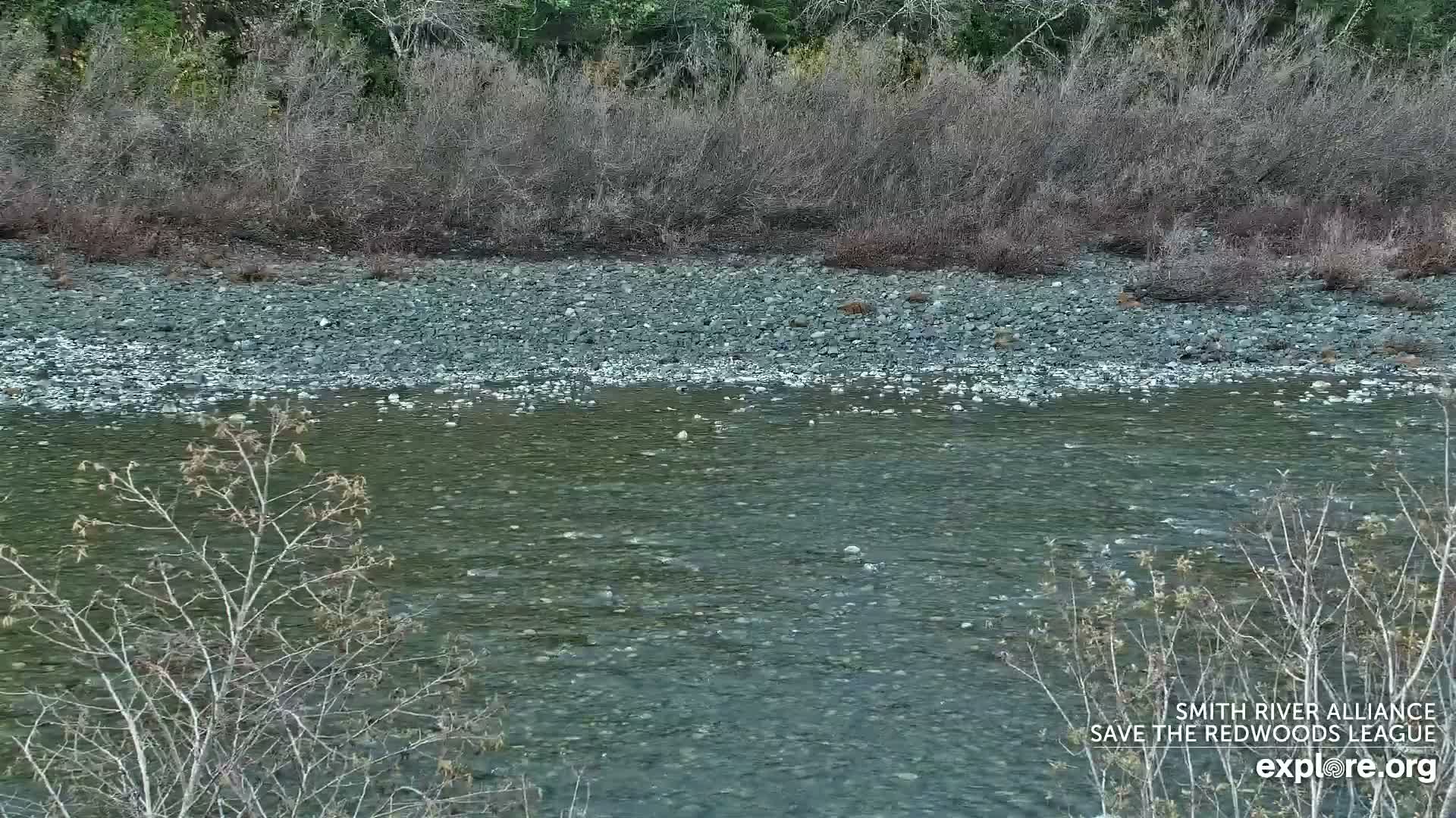 Crescent City, Jedediah Smith Redwoods State Park & Smith River Live Cam - Crescent City, Del Norte, California, USA
