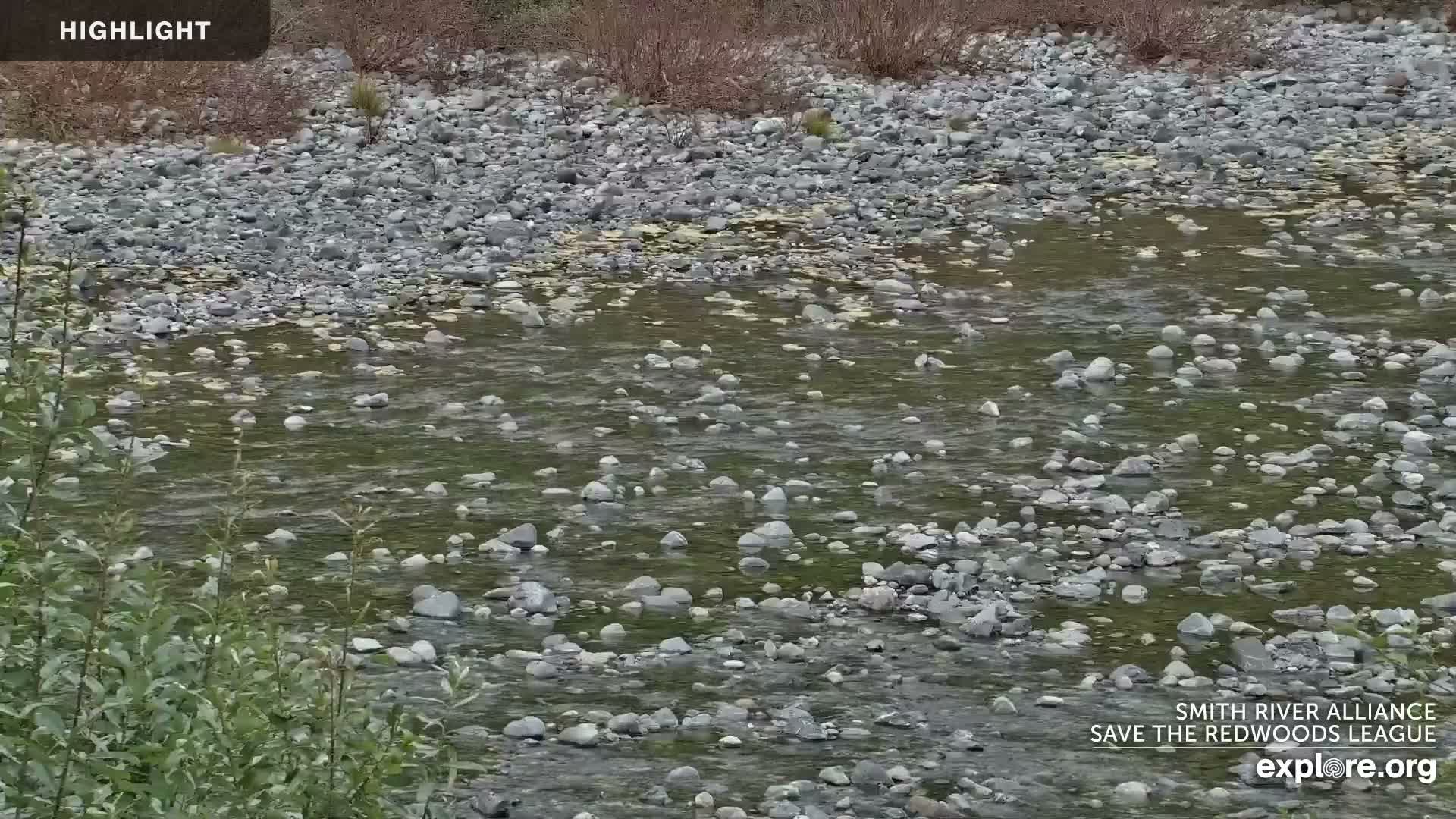 Crescent City, Jedediah Smith Redwoods State Park & Smith River Live Cam - Crescent City, Del Norte, California, USA