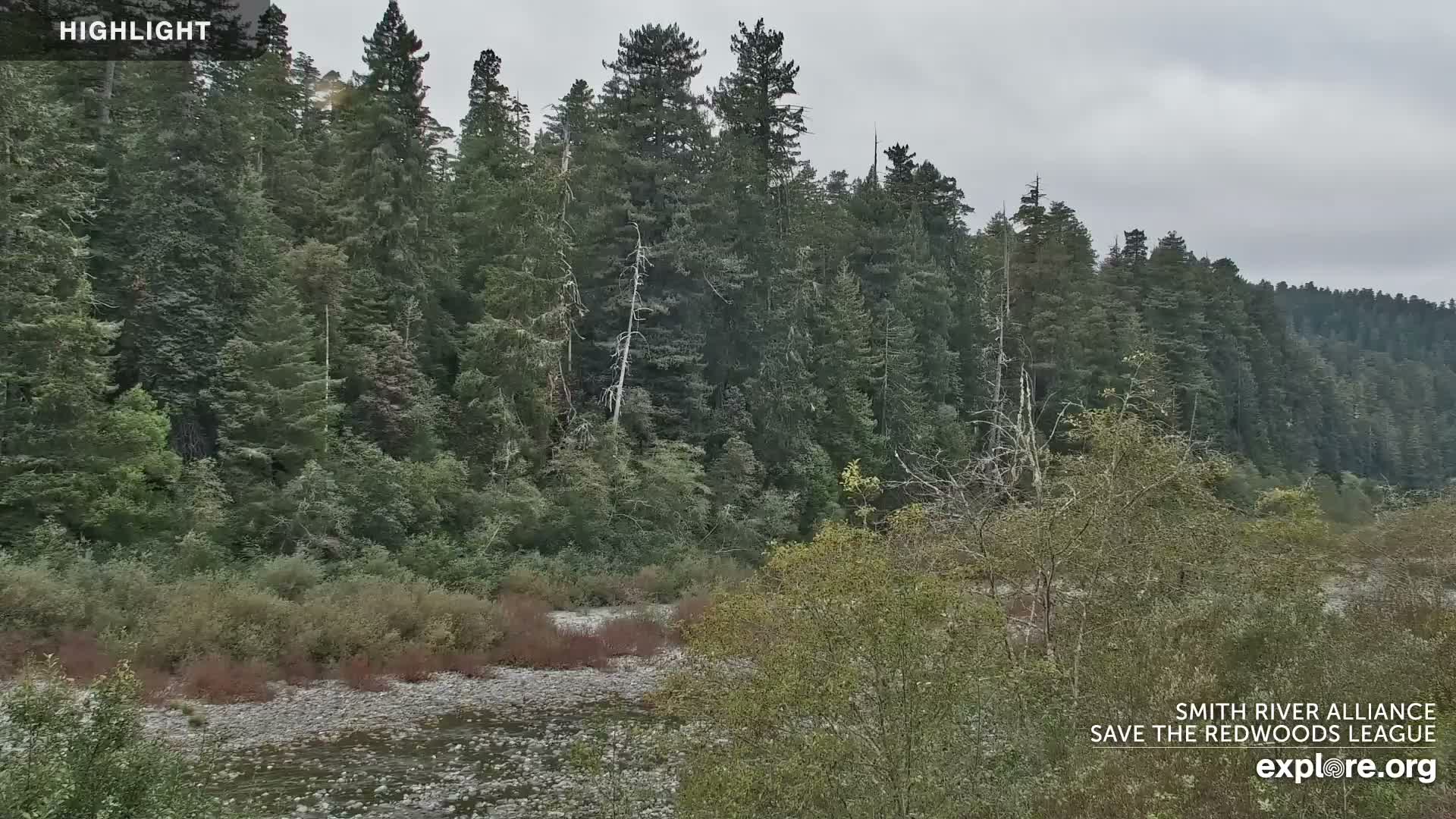 Crescent City, Jedediah Smith Redwoods State Park & Smith River Live Cam - Crescent City, Del Norte, California, USA