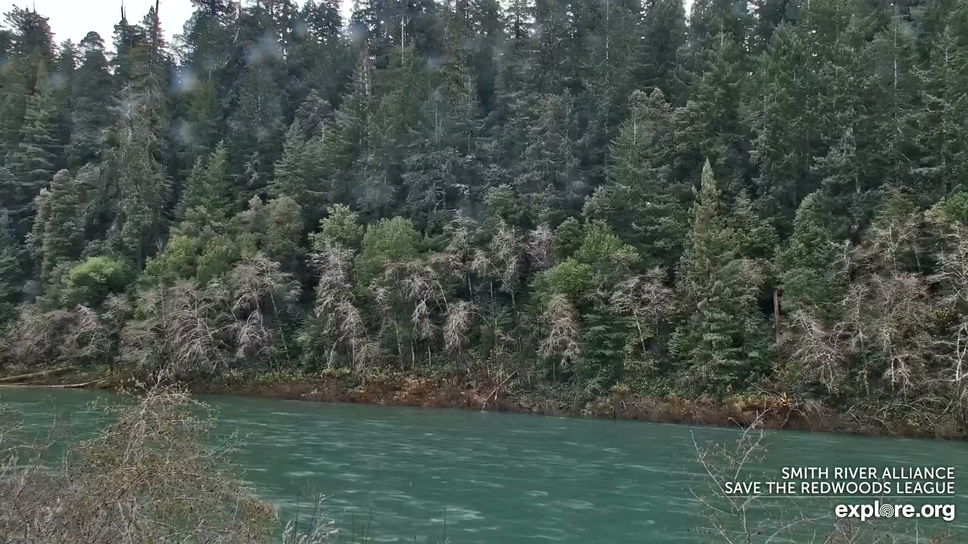 Crescent City, Jedediah Smith Redwoods State Park & Smith River Live Cam - Crescent City, Del Norte, California, USA