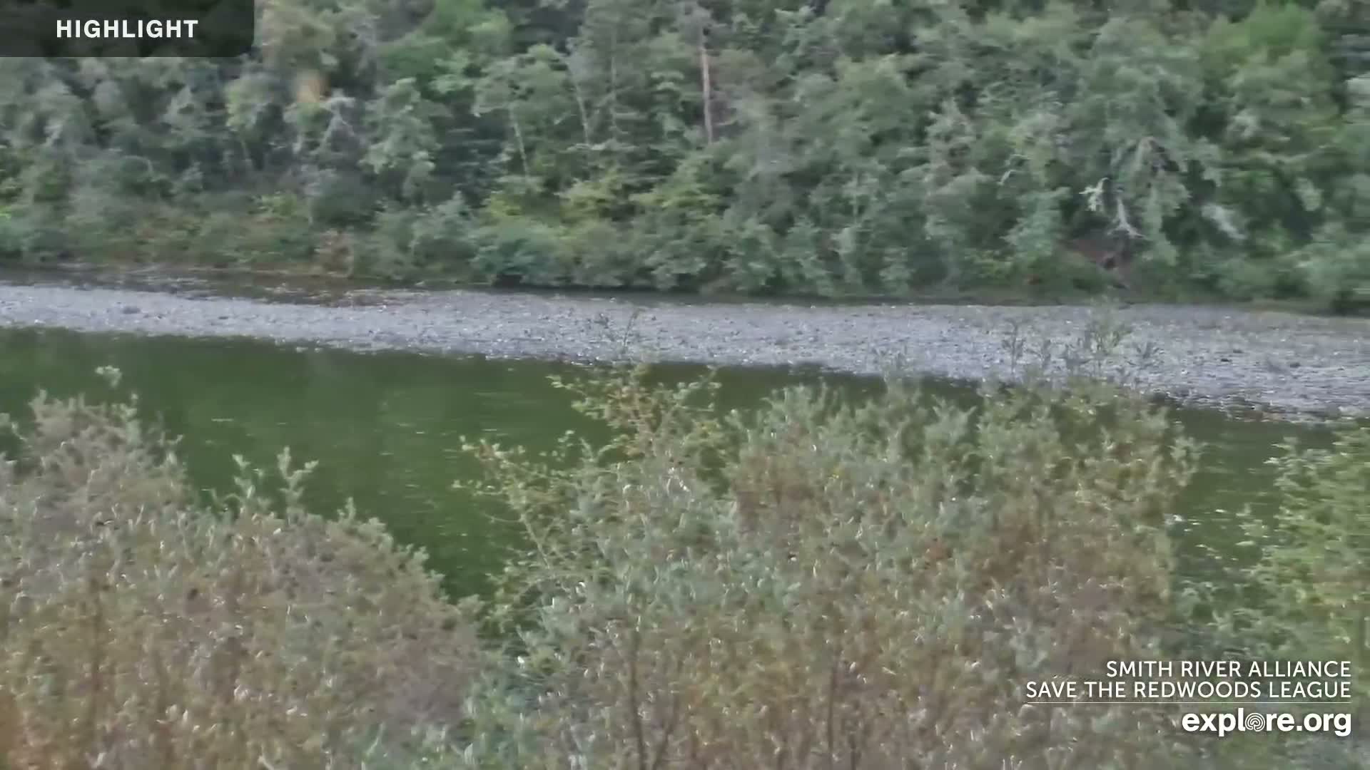 Crescent City, Jedediah Smith Redwoods State Park & Smith River Live Cam - Crescent City, Del Norte, California, USA