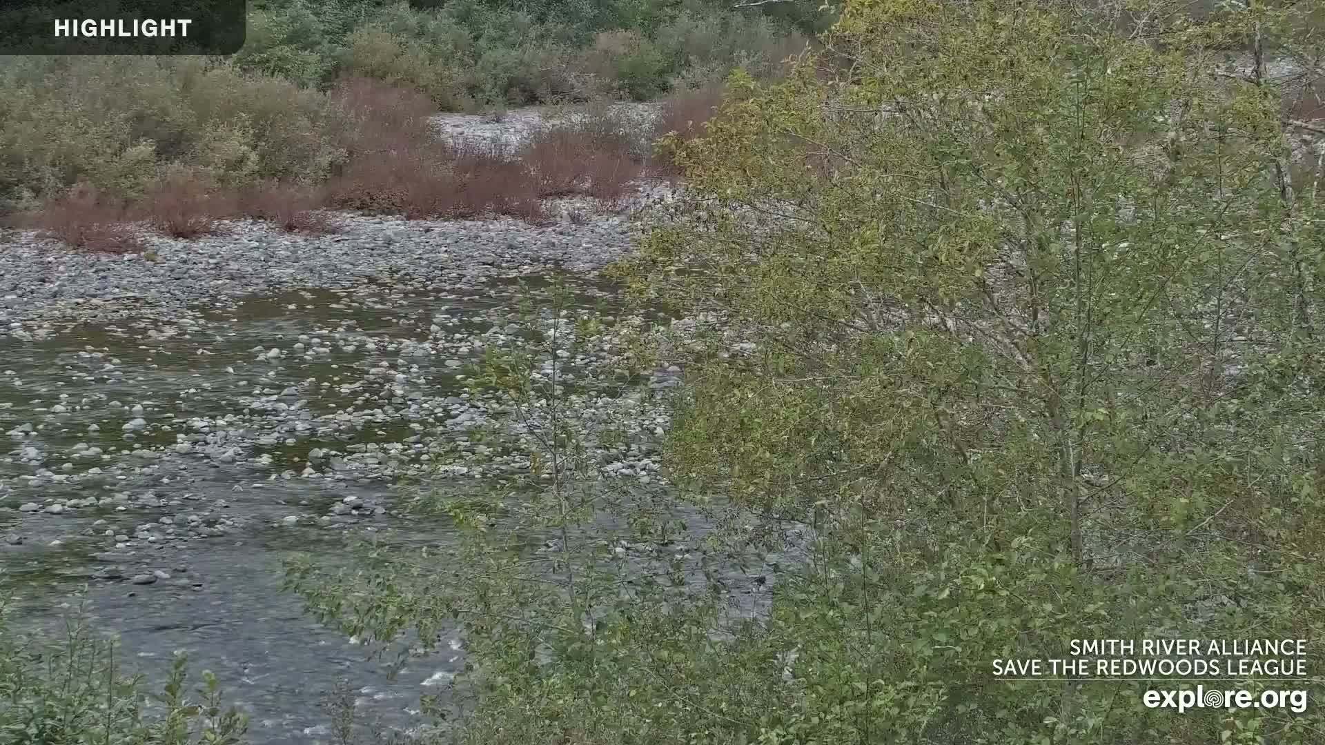 Crescent City, Jedediah Smith Redwoods State Park & Smith River Live Cam - Crescent City, Del Norte, California, USA