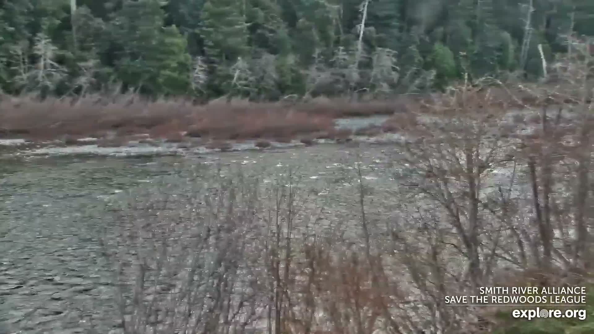 Crescent City, Jedediah Smith Redwoods State Park & Smith River Live Cam - Crescent City, Del Norte, California, USA