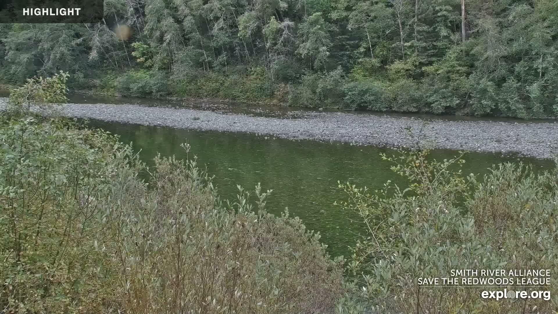 Crescent City, Jedediah Smith Redwoods State Park & Smith River Live Cam - Crescent City, Del Norte, California, USA