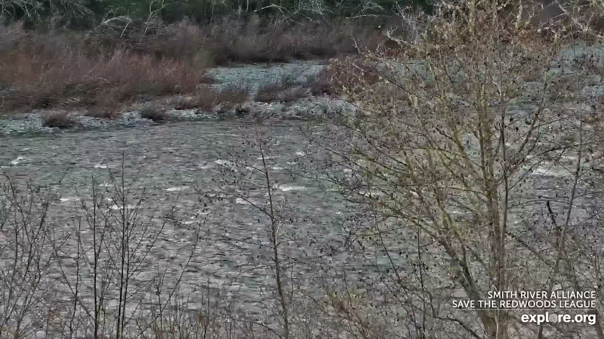 Crescent City, Jedediah Smith Redwoods State Park & Smith River Live Cam - Crescent City, Del Norte, California, USA