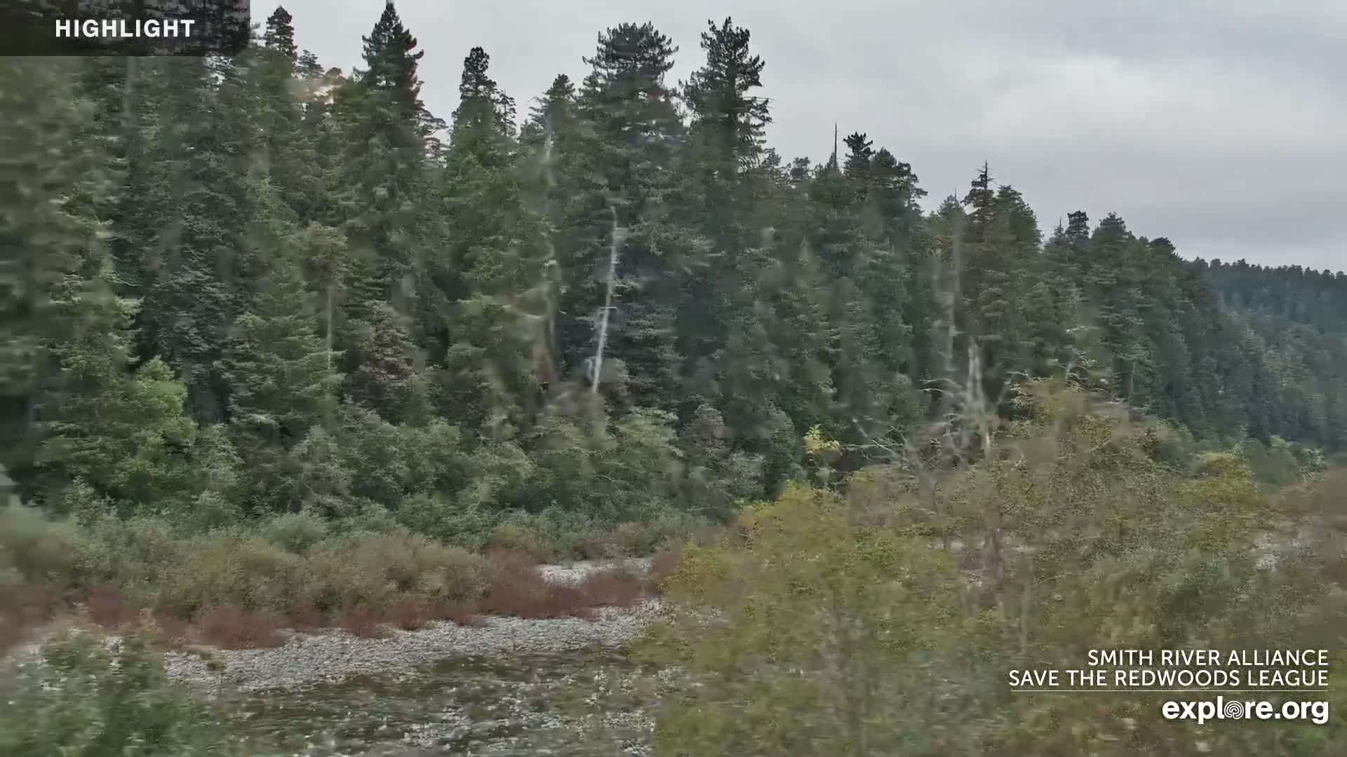 Crescent City, Jedediah Smith Redwoods State Park & Smith River Live Cam - Crescent City, Del Norte, California, USA