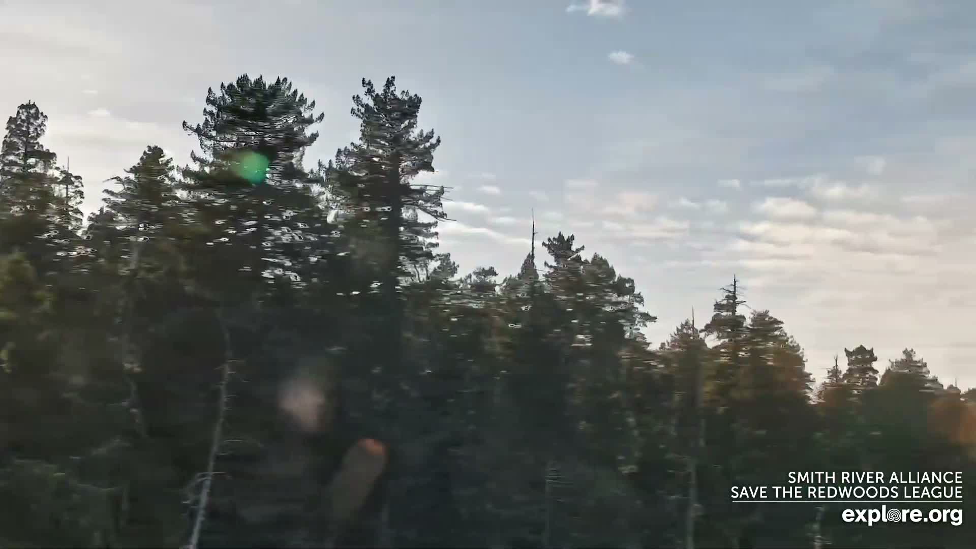 Crescent City, Jedediah Smith Redwoods State Park & Smith River Live Cam - Crescent City, Del Norte, California, USA