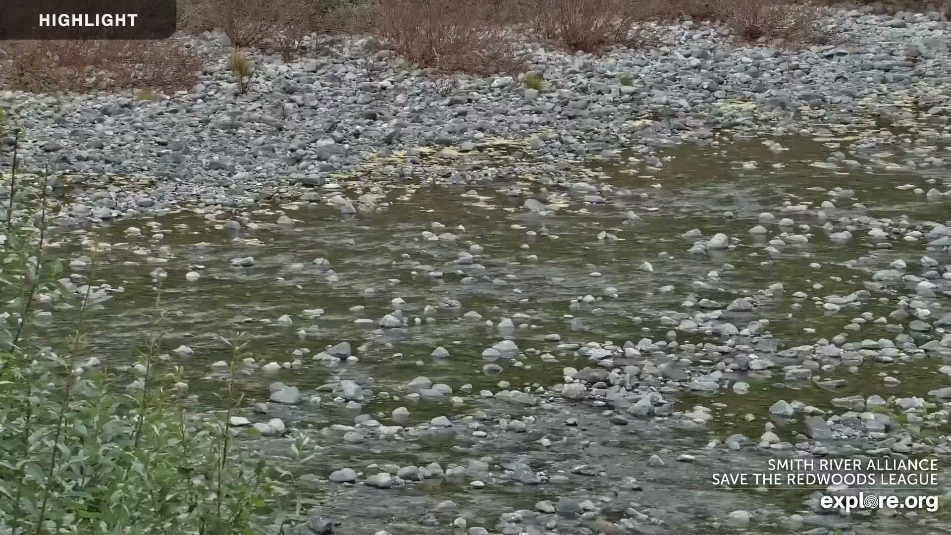 Crescent City, Jedediah Smith Redwoods State Park & Smith River Live Cam - Crescent City, Del Norte, California, USA