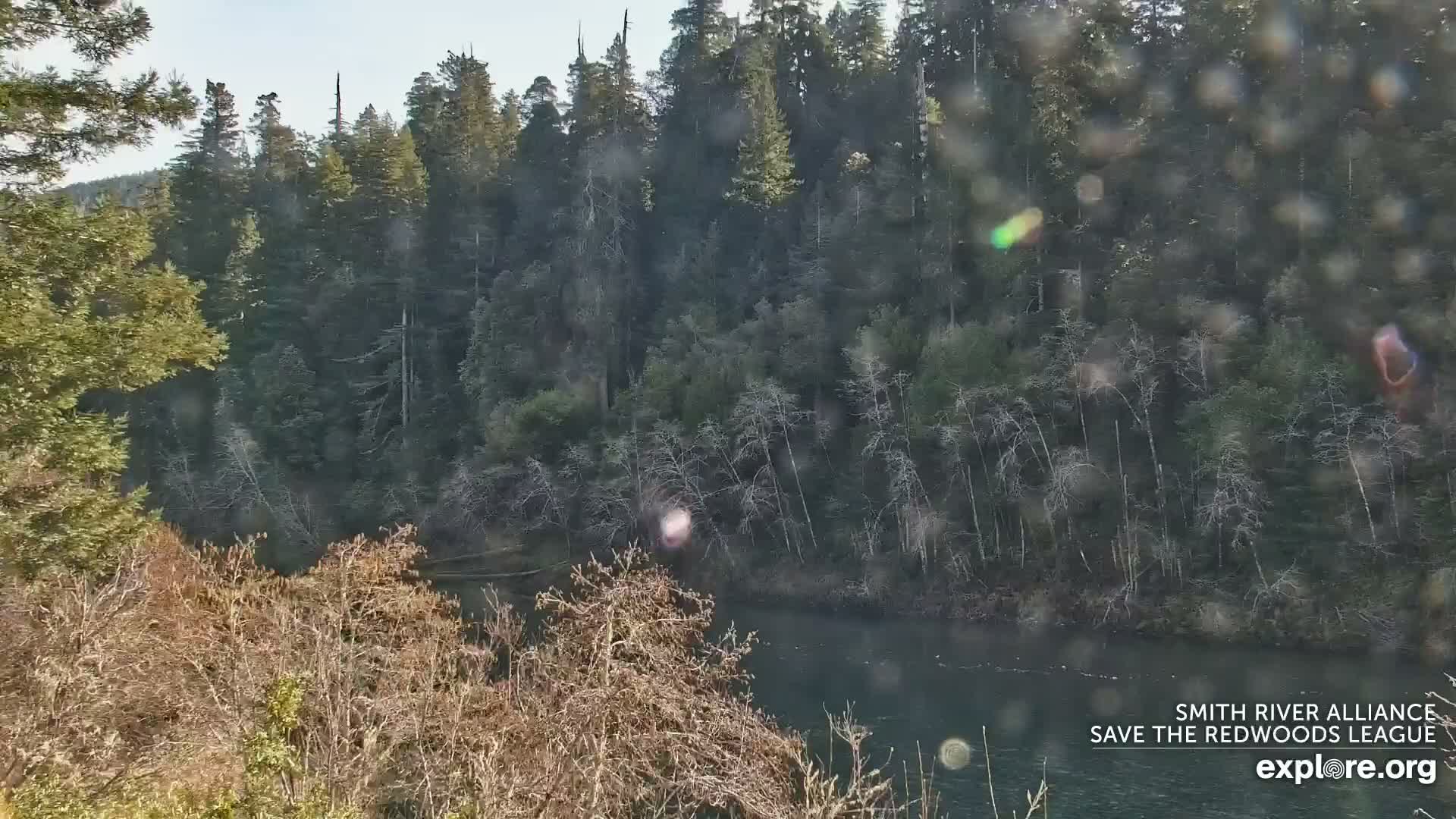 Crescent City, Jedediah Smith Redwoods State Park & Smith River Live Cam - Crescent City, Del Norte, California, USA