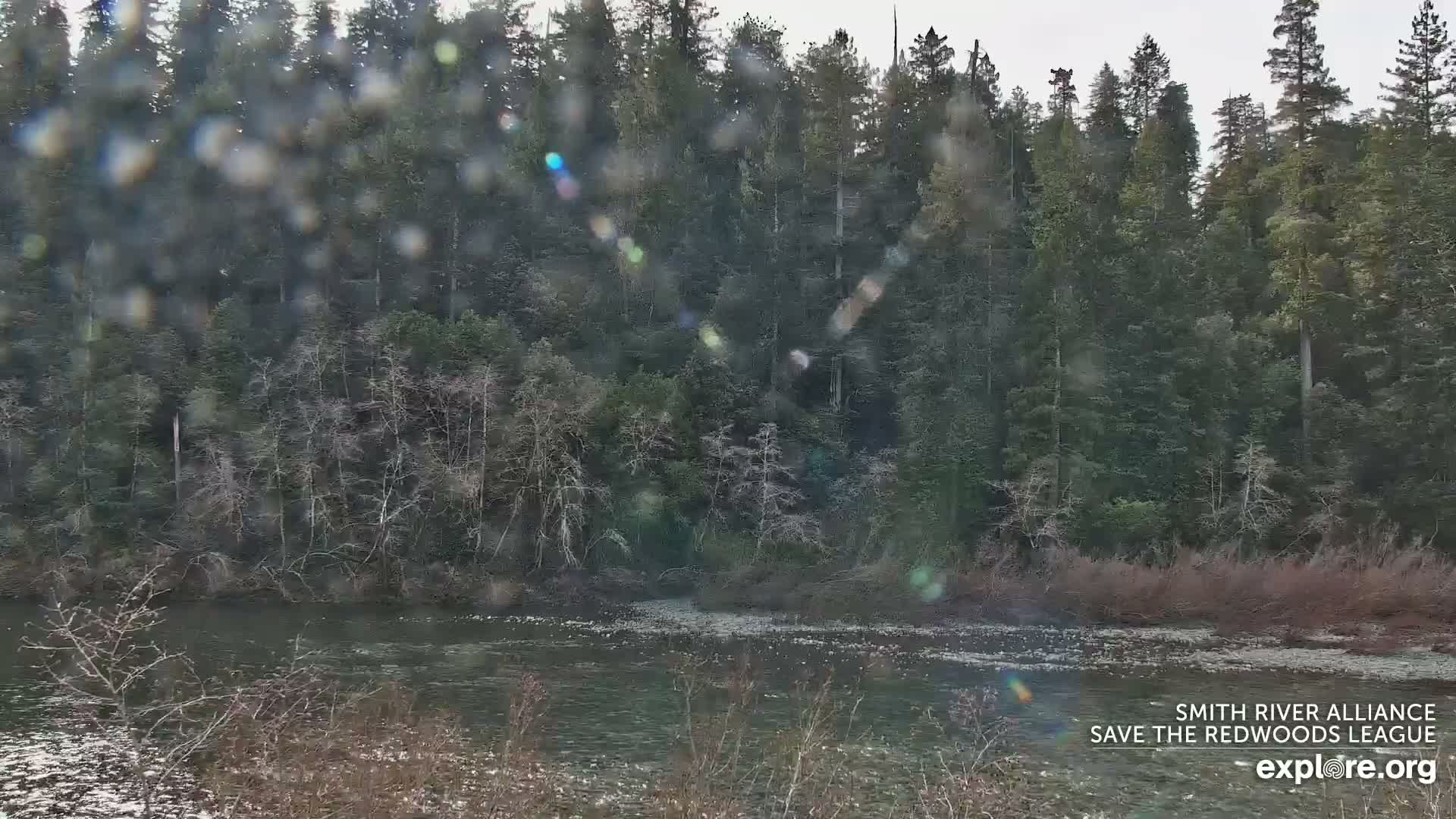 Crescent City, Jedediah Smith Redwoods State Park & Smith River Live Cam - Crescent City, Del Norte, California, USA