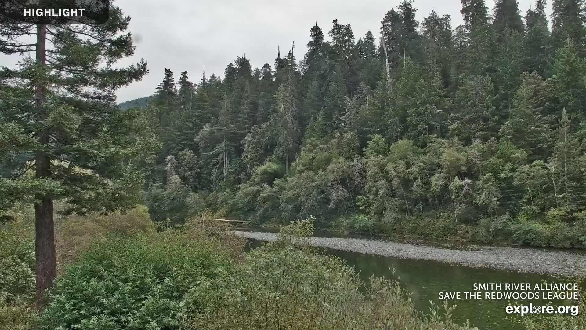 Crescent City, Jedediah Smith Redwoods State Park & Smith River Live Cam - Crescent City, Del Norte, California, USA