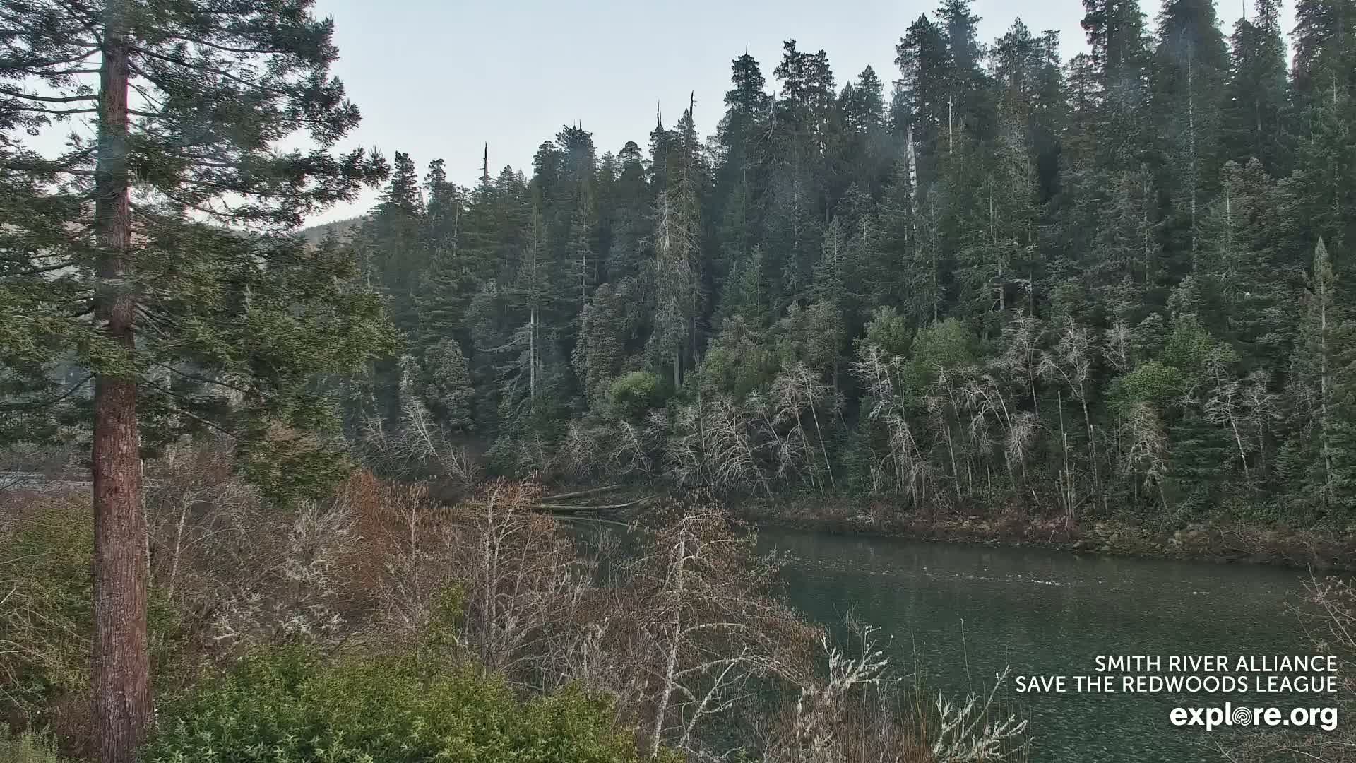 Crescent City, Jedediah Smith Redwoods State Park & Smith River Live Cam - Crescent City, Del Norte, California, USA